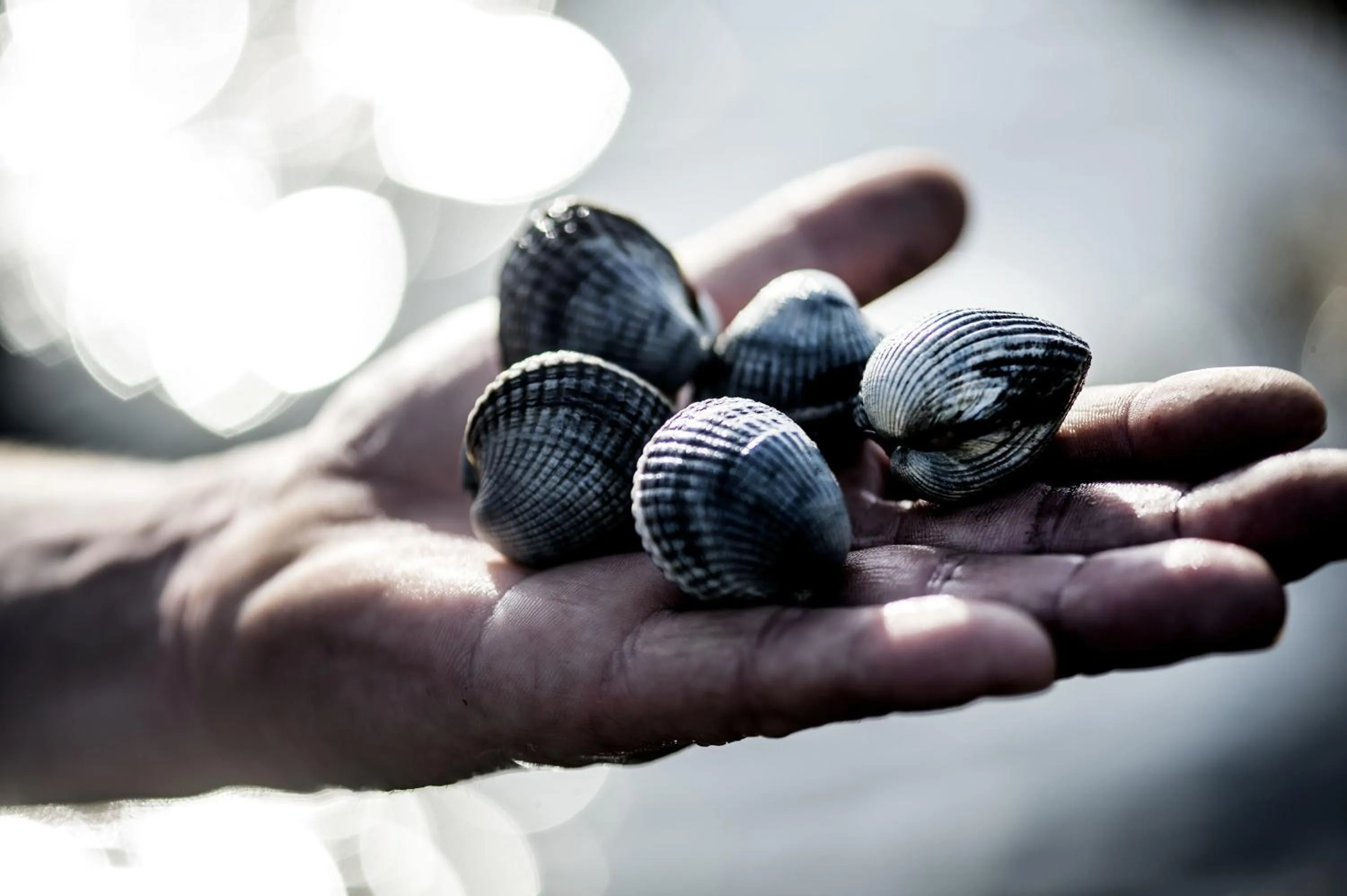 Activities in Christiansminde