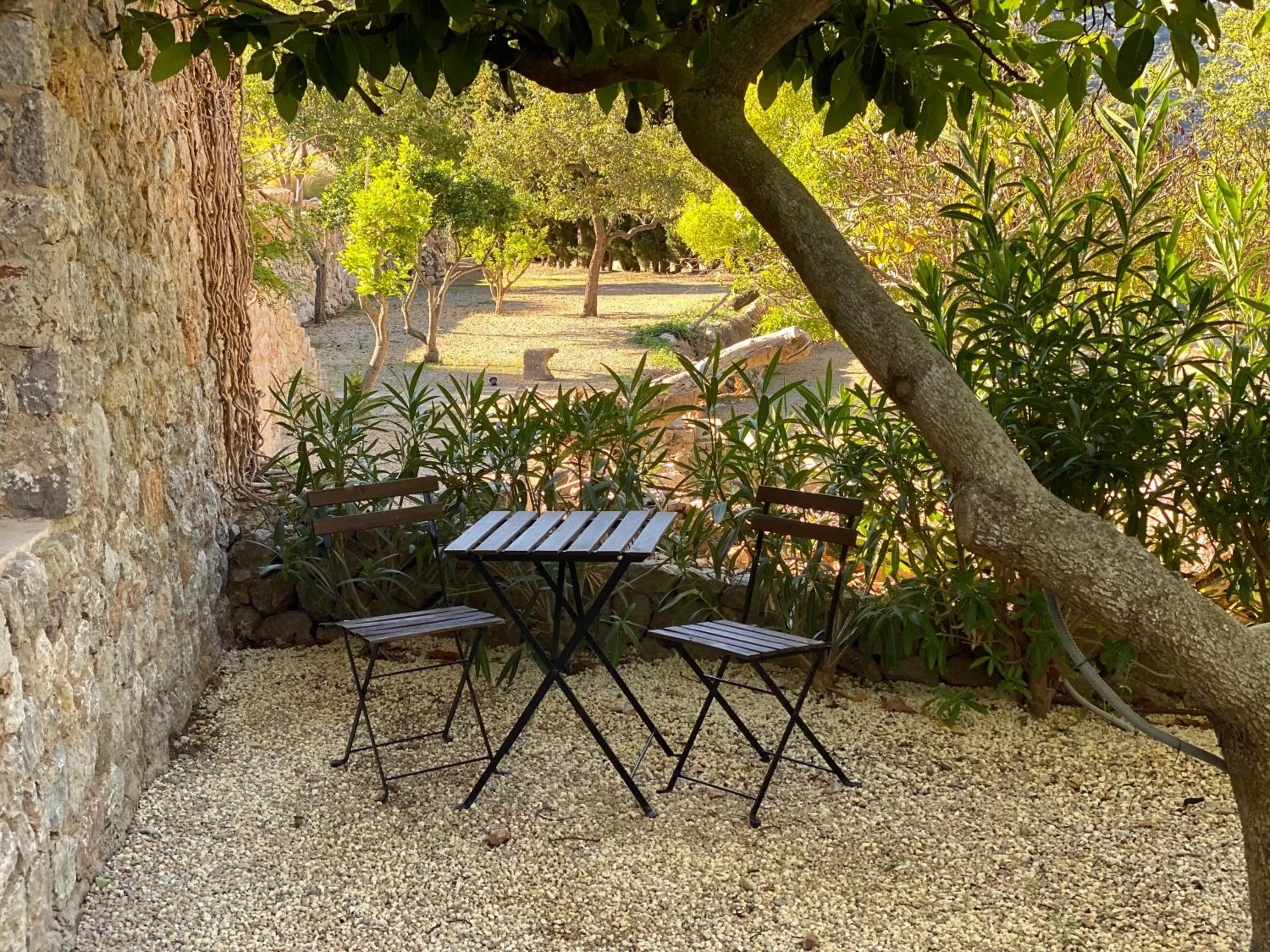 Garden view in Mirabó de Valldemossa