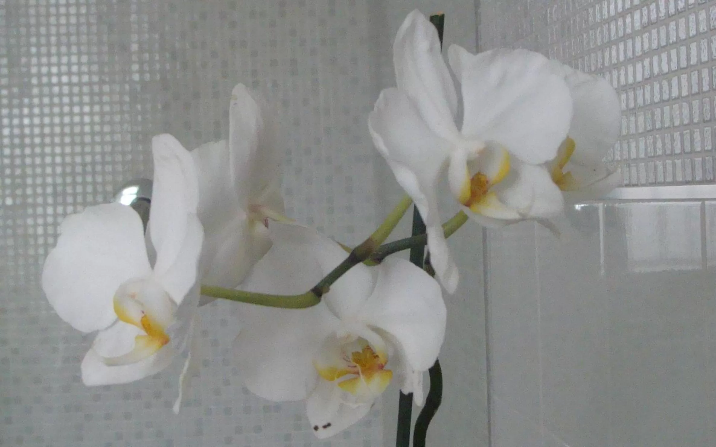 Other in Gianduja B&B