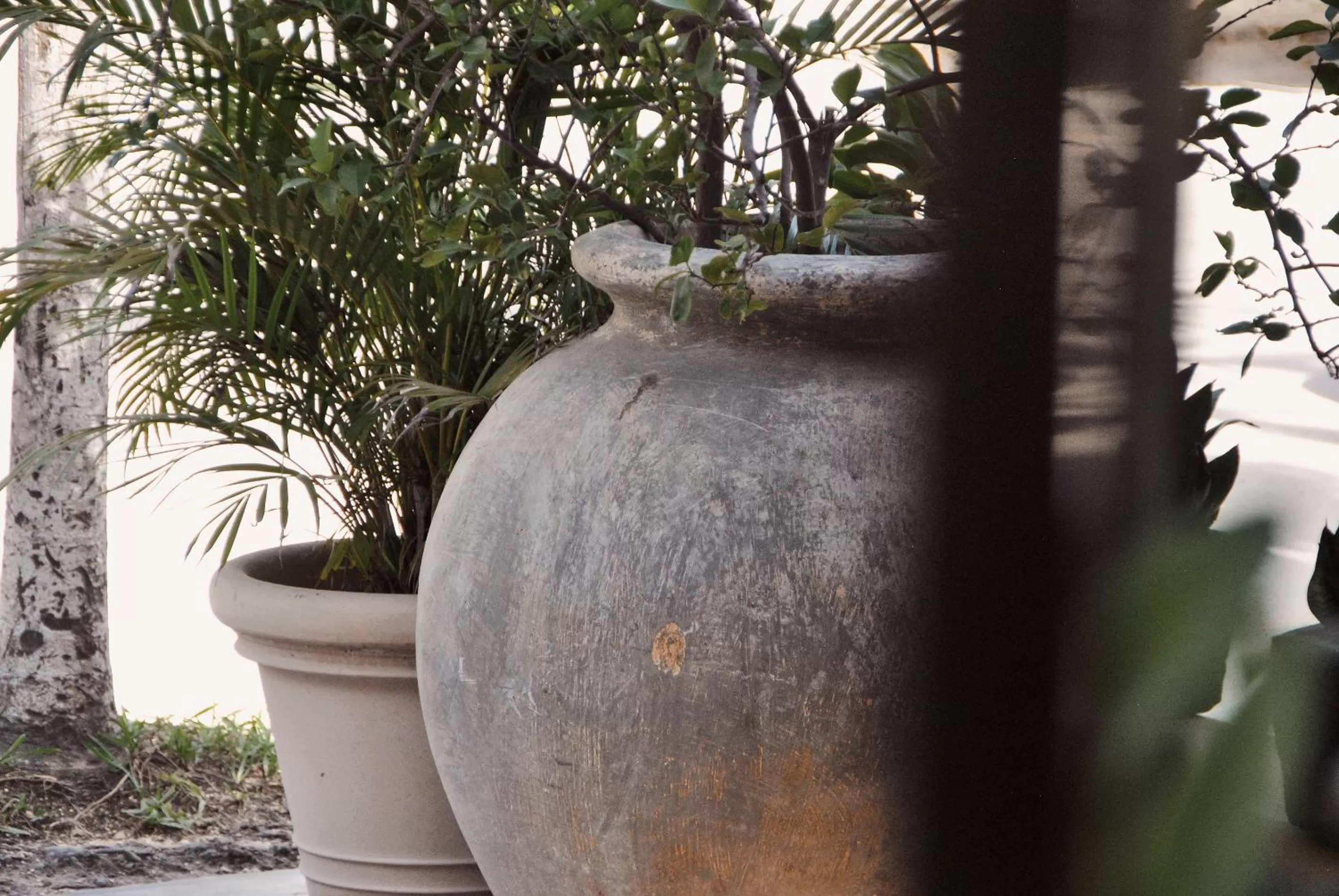 Property building in Boutique Hotel Posada 06 Tulum