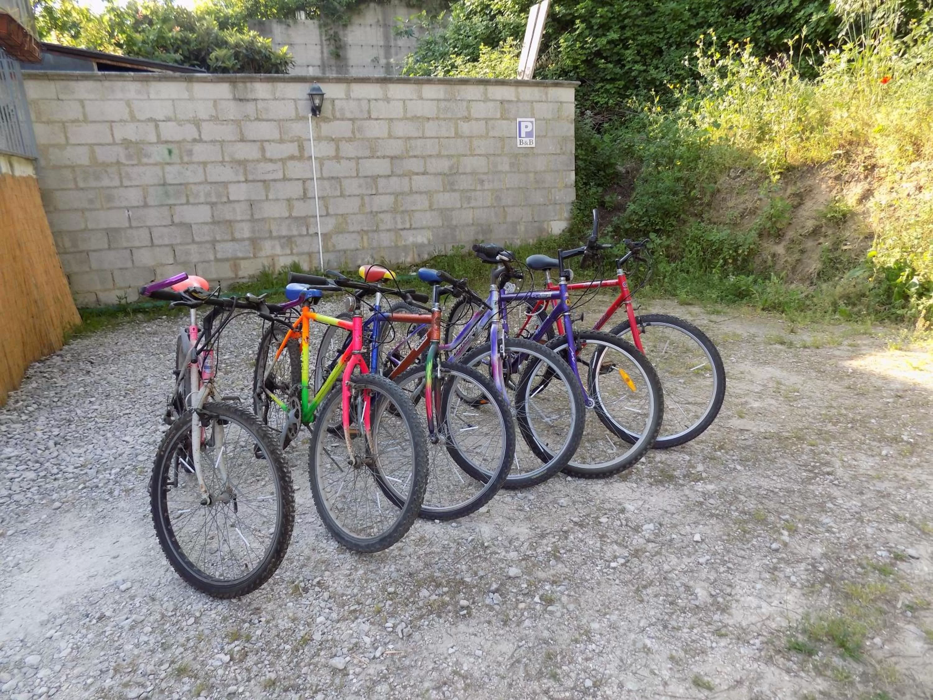 Cycling in B&B Falcone