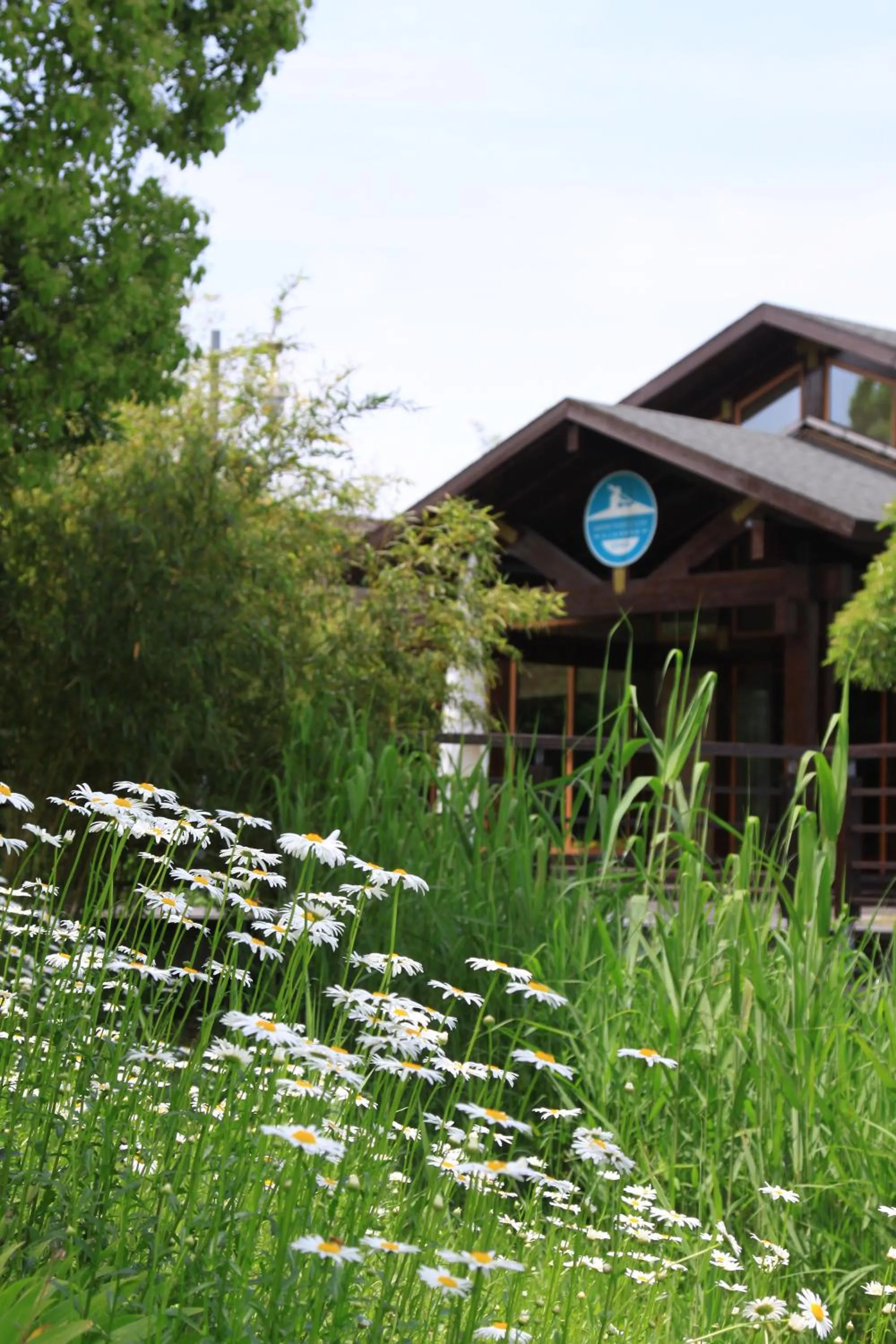 Summer in Fairmont Yangcheng Lake