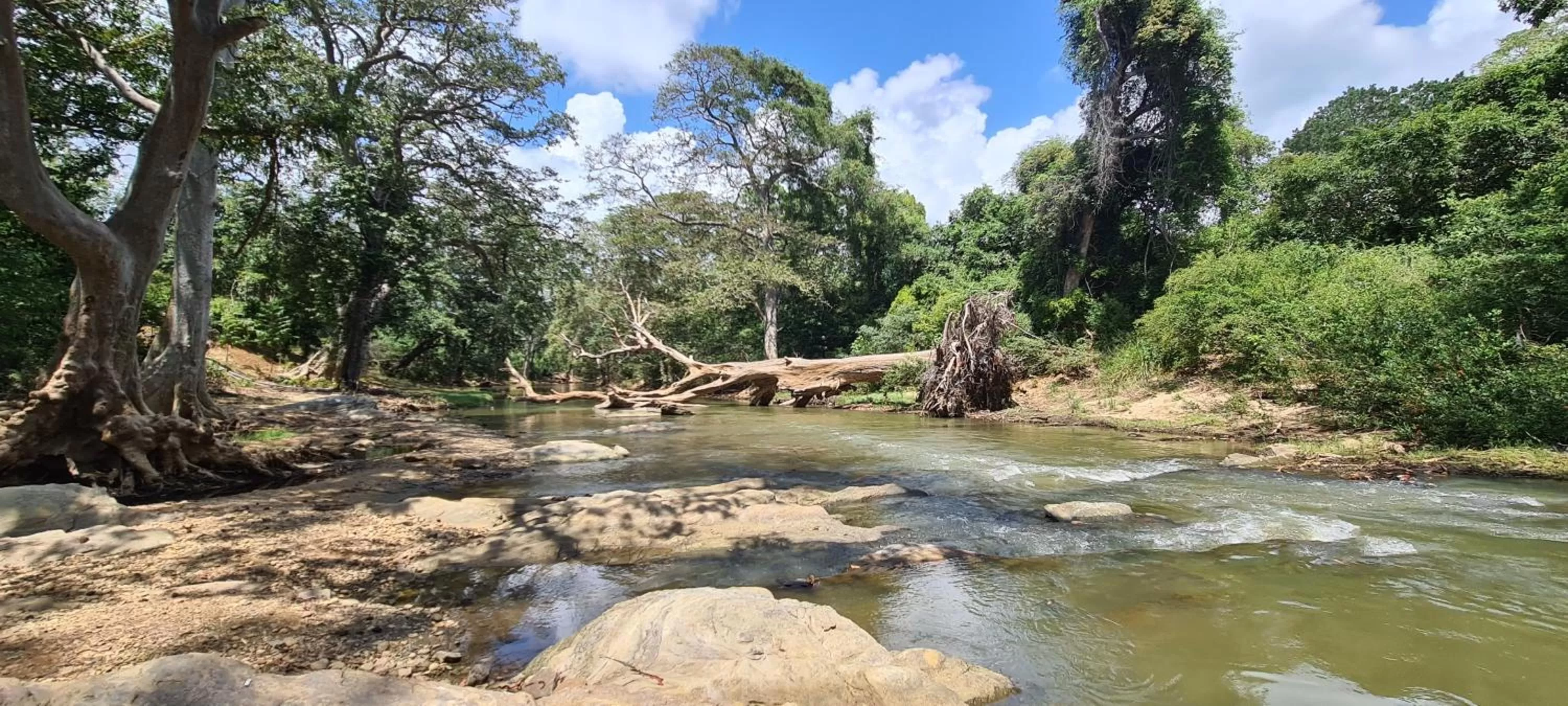 Jungle river humbhaha hostel