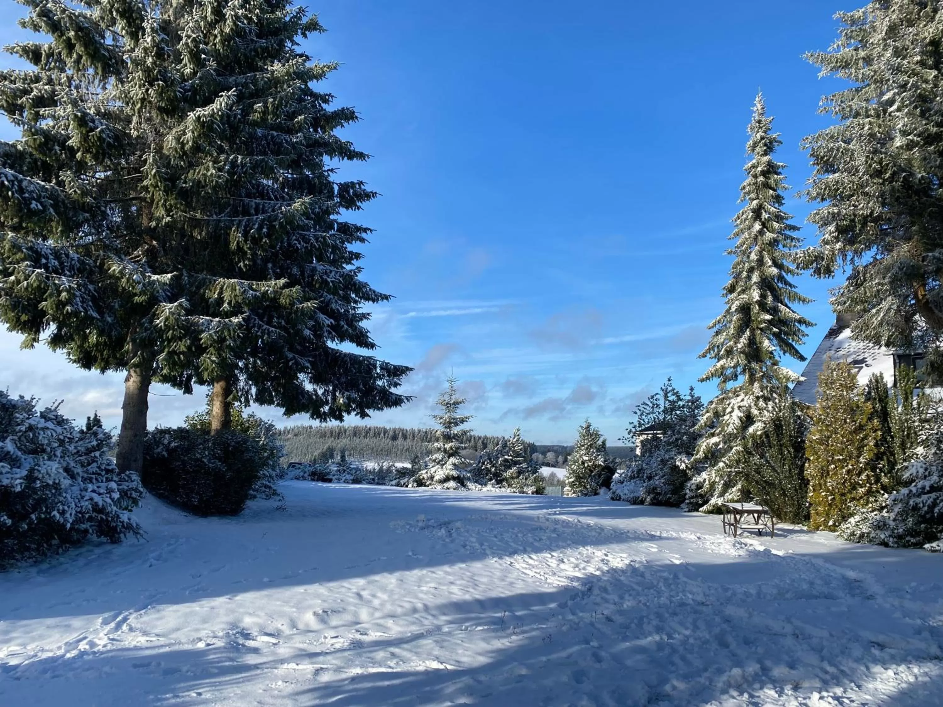 View (from property/room) in Der schöne Asten - Resort Winterberg