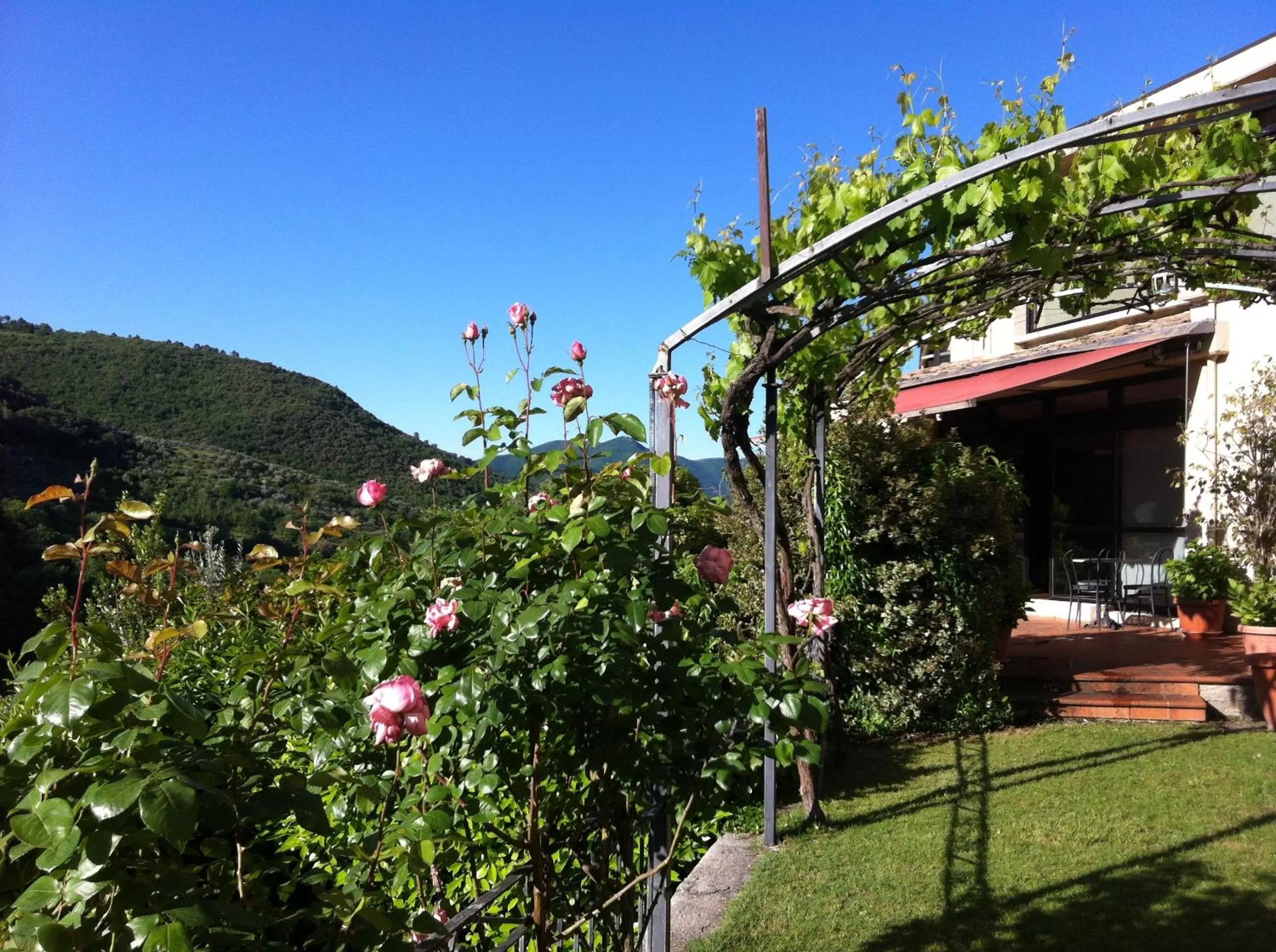Garden in Hotel Gattapone