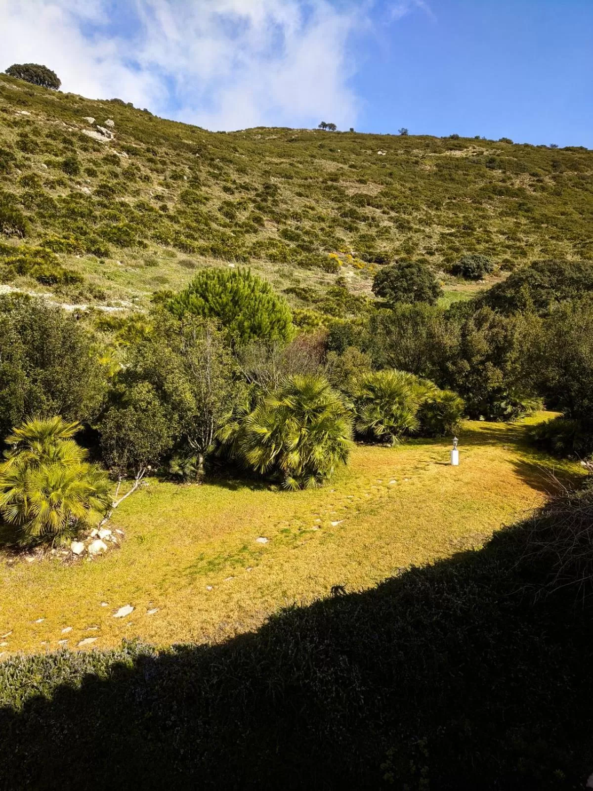 Balcony/Terrace in Hotel Fuente del Sol