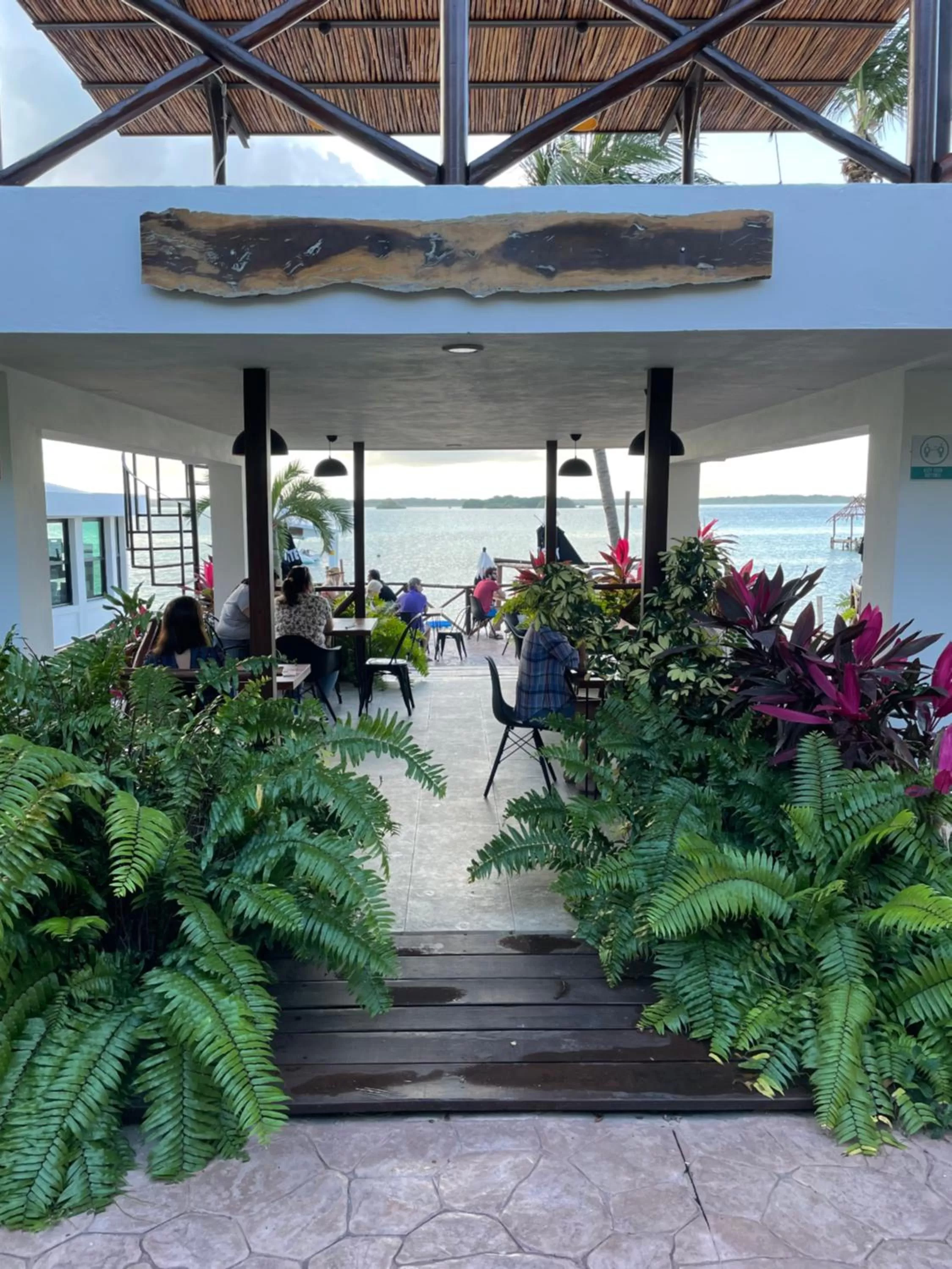 Garden in Hotel Aldea 19 Bacalar