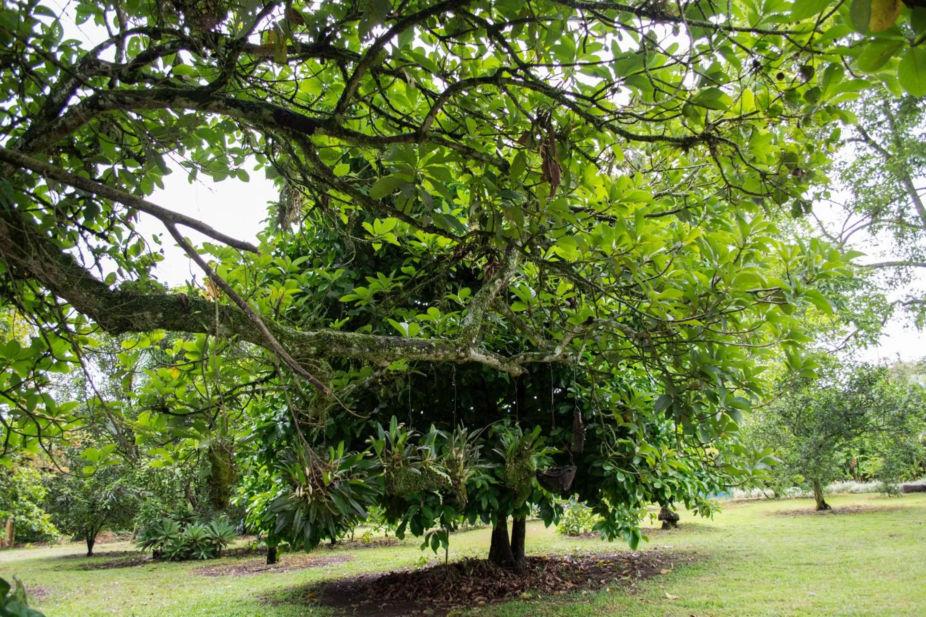 Natural landscape in Balsora Hotel Boutique