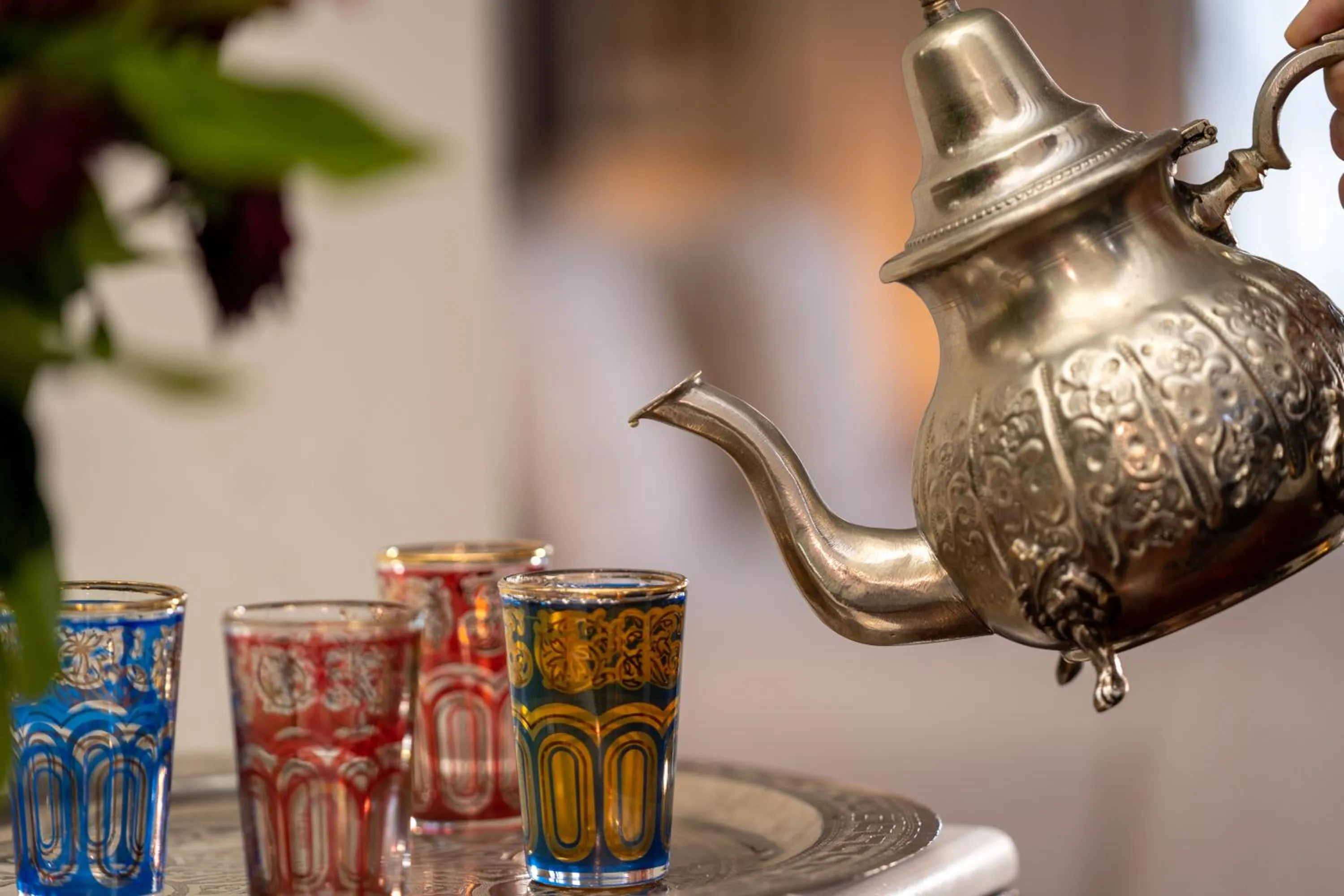 Drinks in Hotel Casa Blanca 7