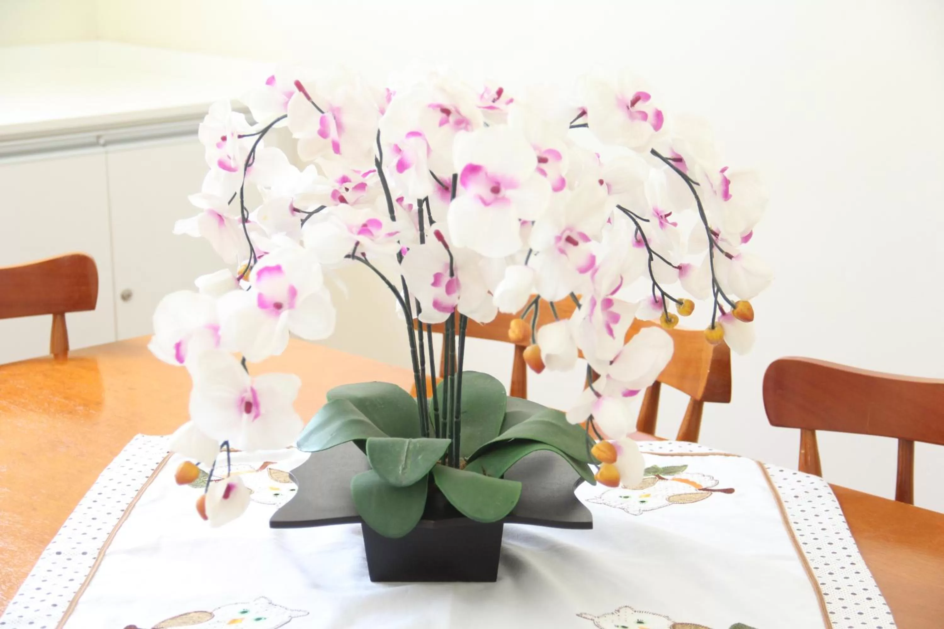 Pousada Santa Genebra