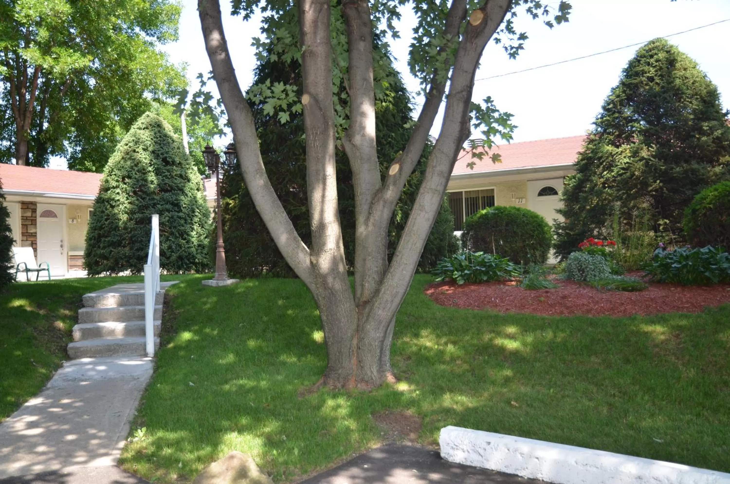 Garden view in Motel Derfal