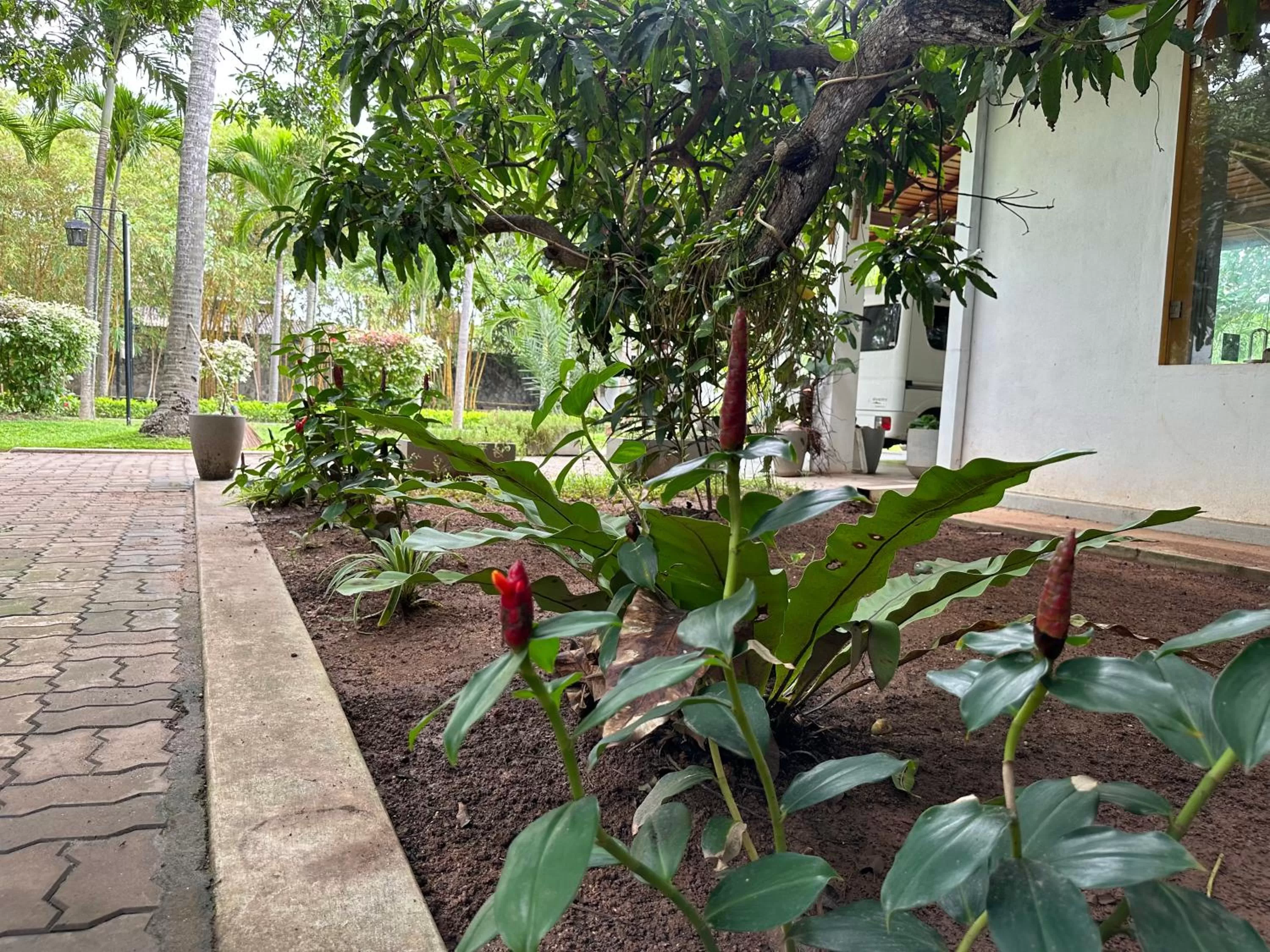 Garden view in Amaluna Resorts