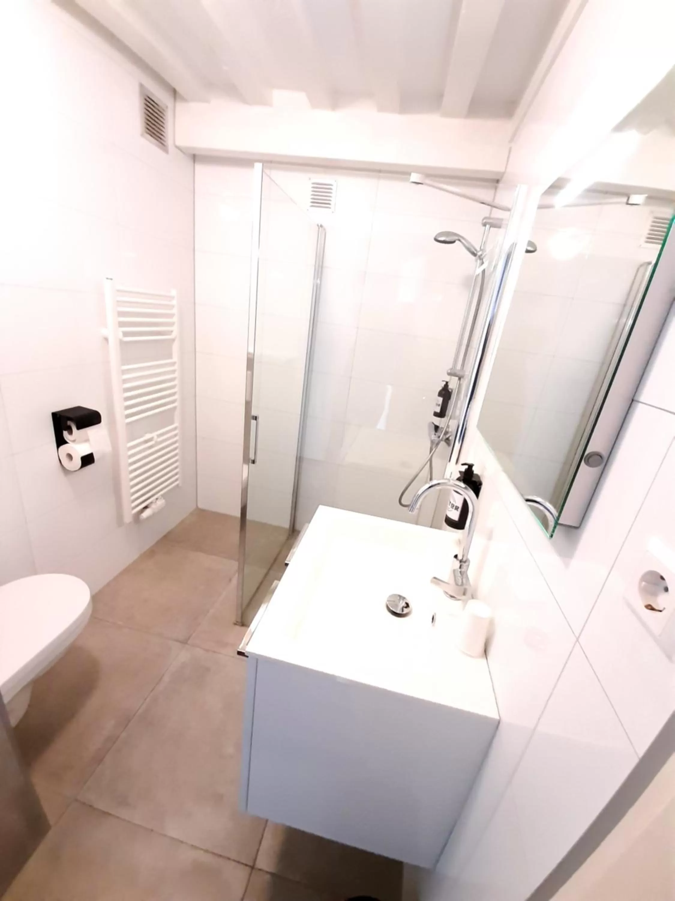 Small Double Room in Hector Zierikzee