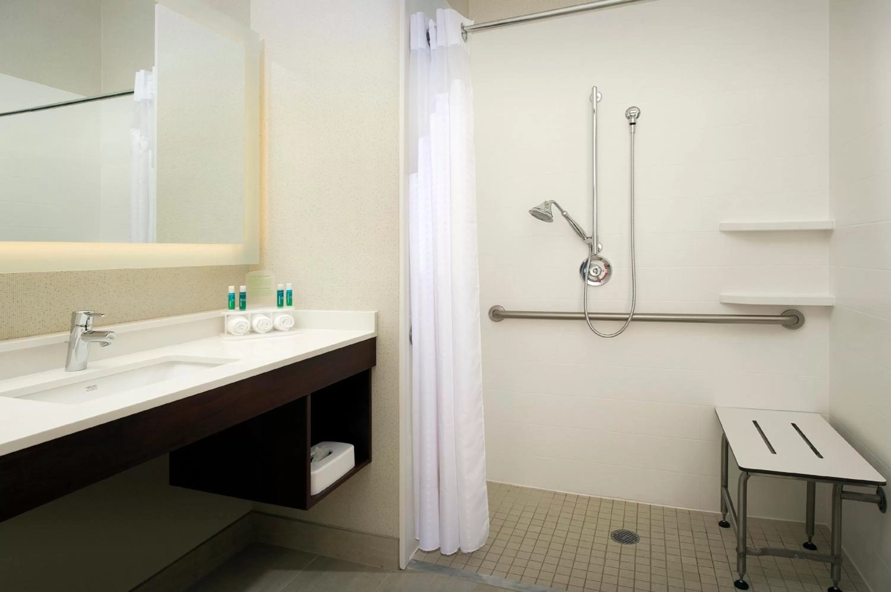 King Room - Disability Access Hearing Accessible Roll-in Shower in Holiday Inn Express & Suites Charlottesville - Ruckersville, an IHG Hotel