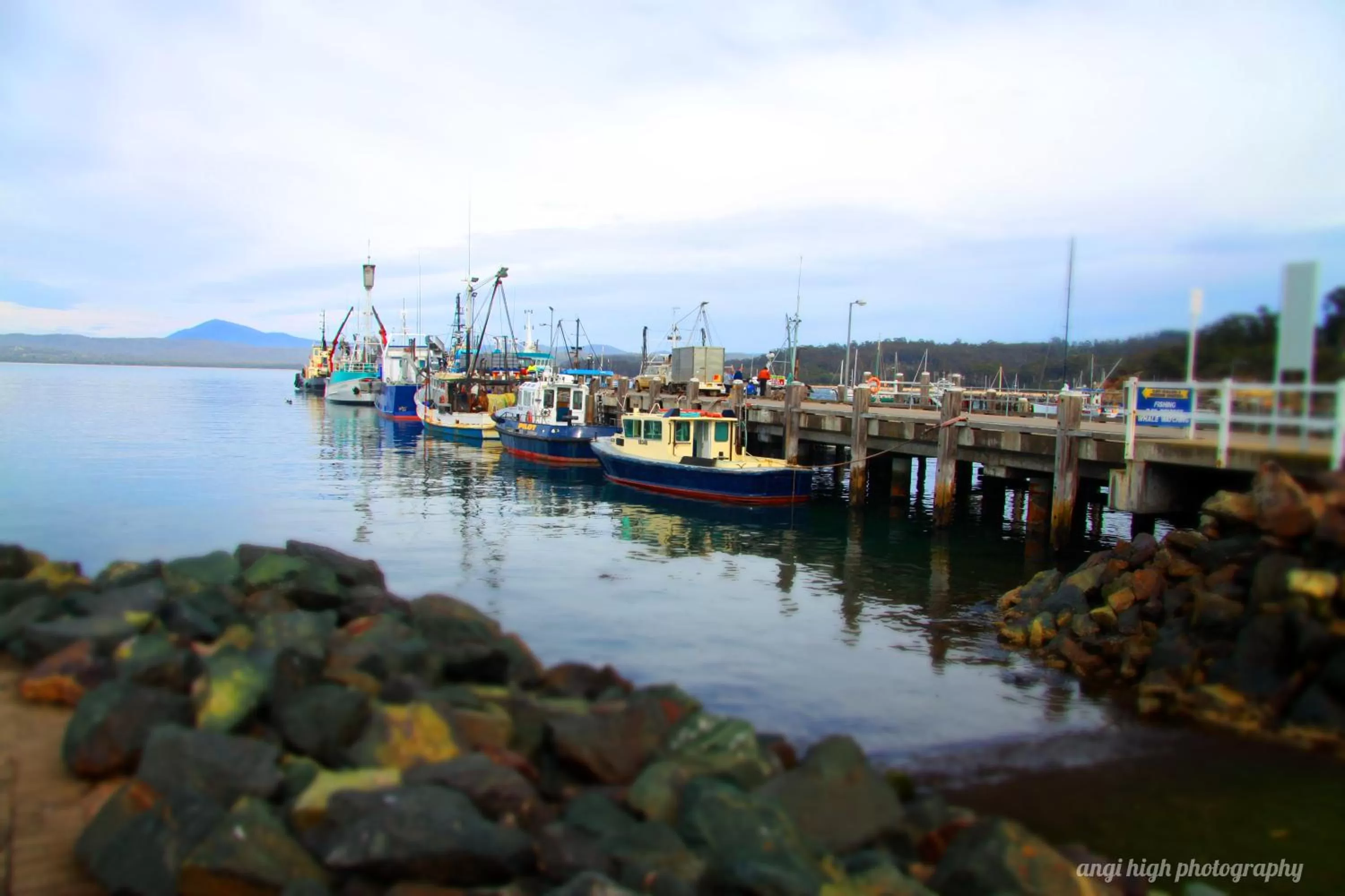 Activities in Twofold Bay Motor Inn