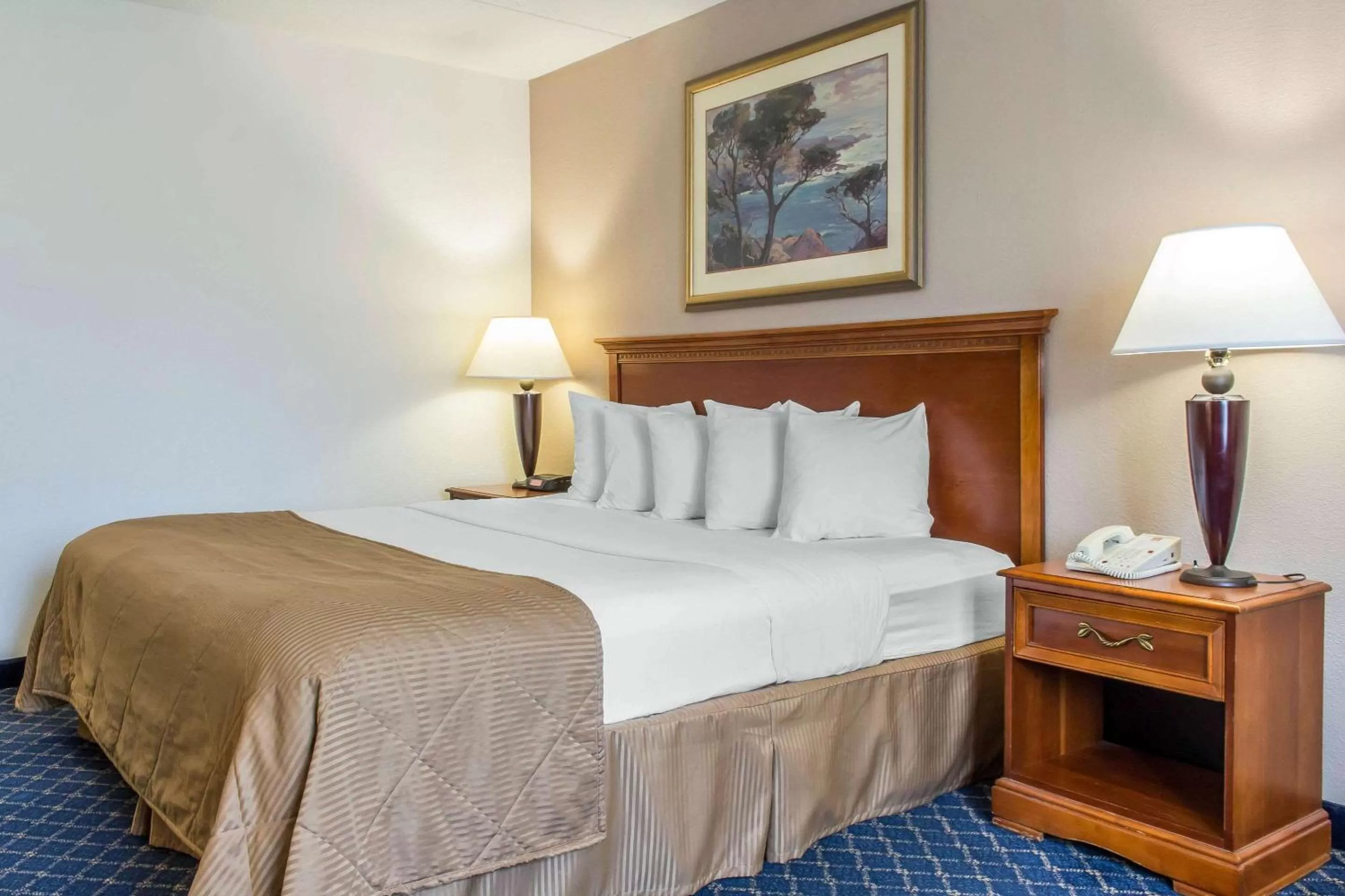 Photo of the whole room in Clarion Hotel & Conference Center