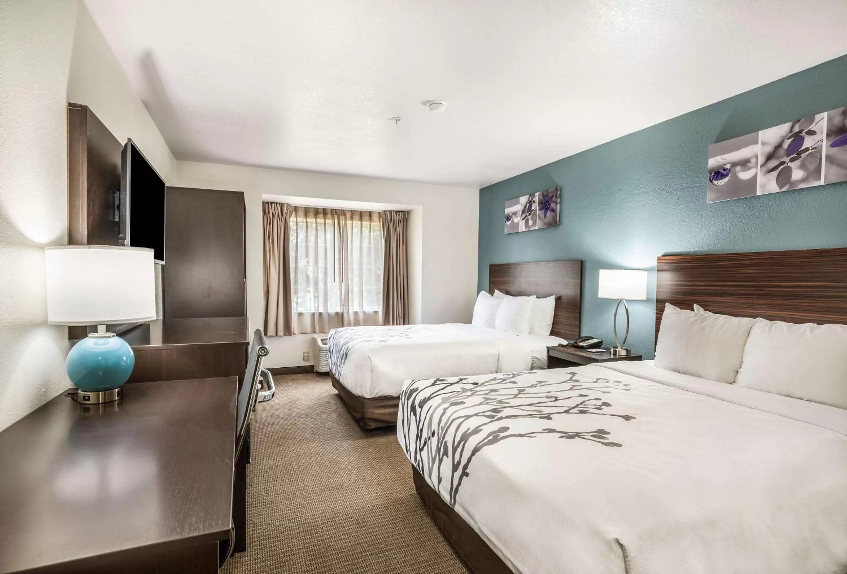 Photo of the whole room, Bed in Sleep Inn & Suites Tallahassee-Capitol