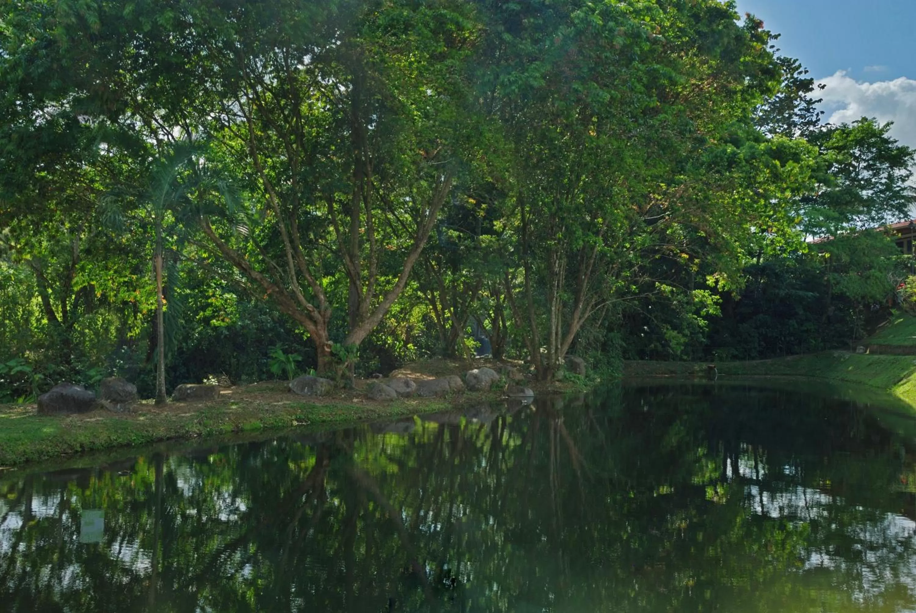 Day in Volcano Lodge, Hotel & Thermal Experience