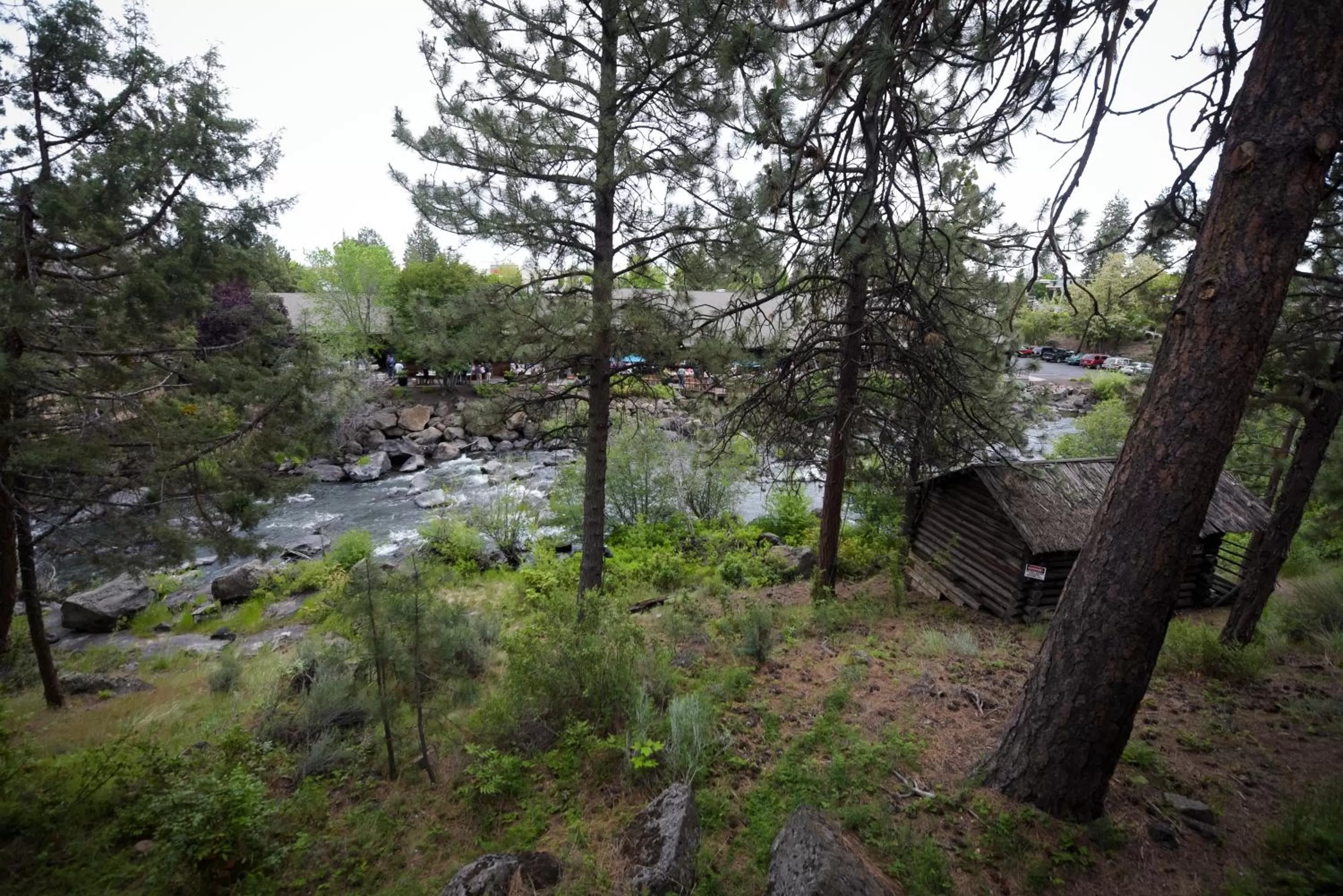 Bird's eye view in Riverhouse Lodge
