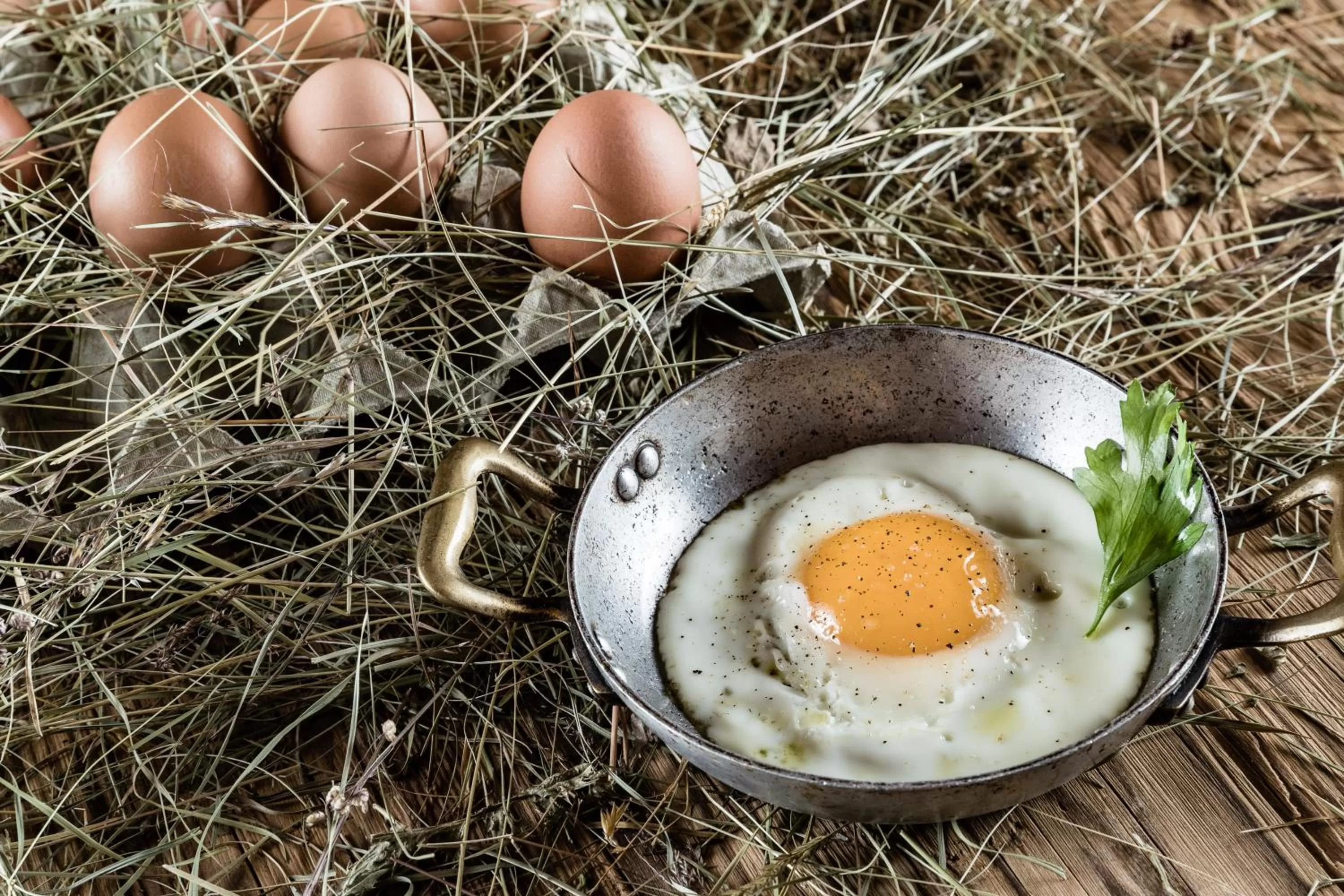 Food and drinks in Boutique Hotel Nives - Luxury & Design in the Dolomites