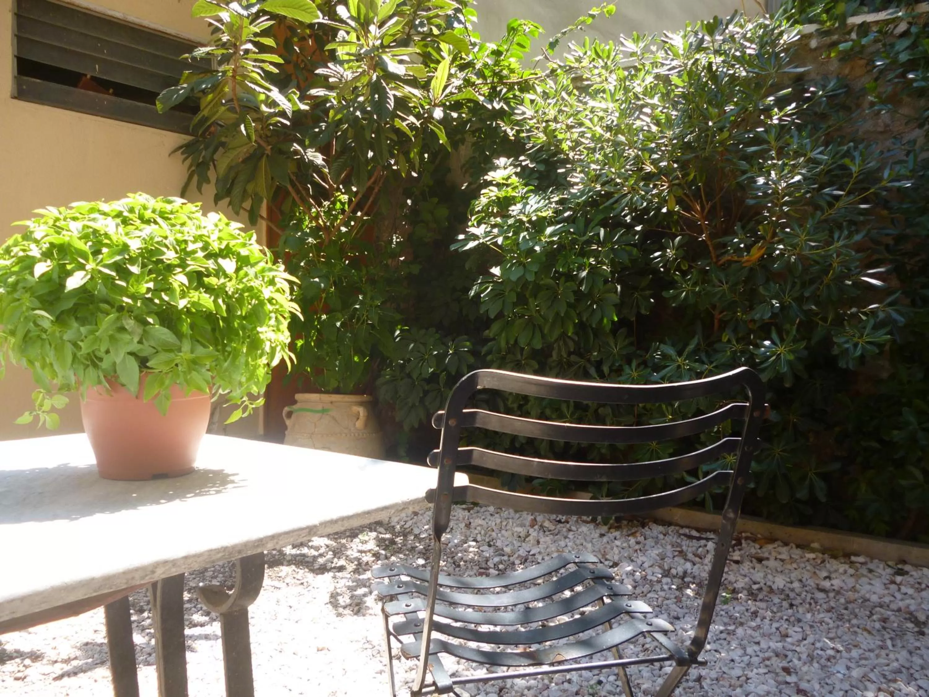 Garden view in Hotel Byron