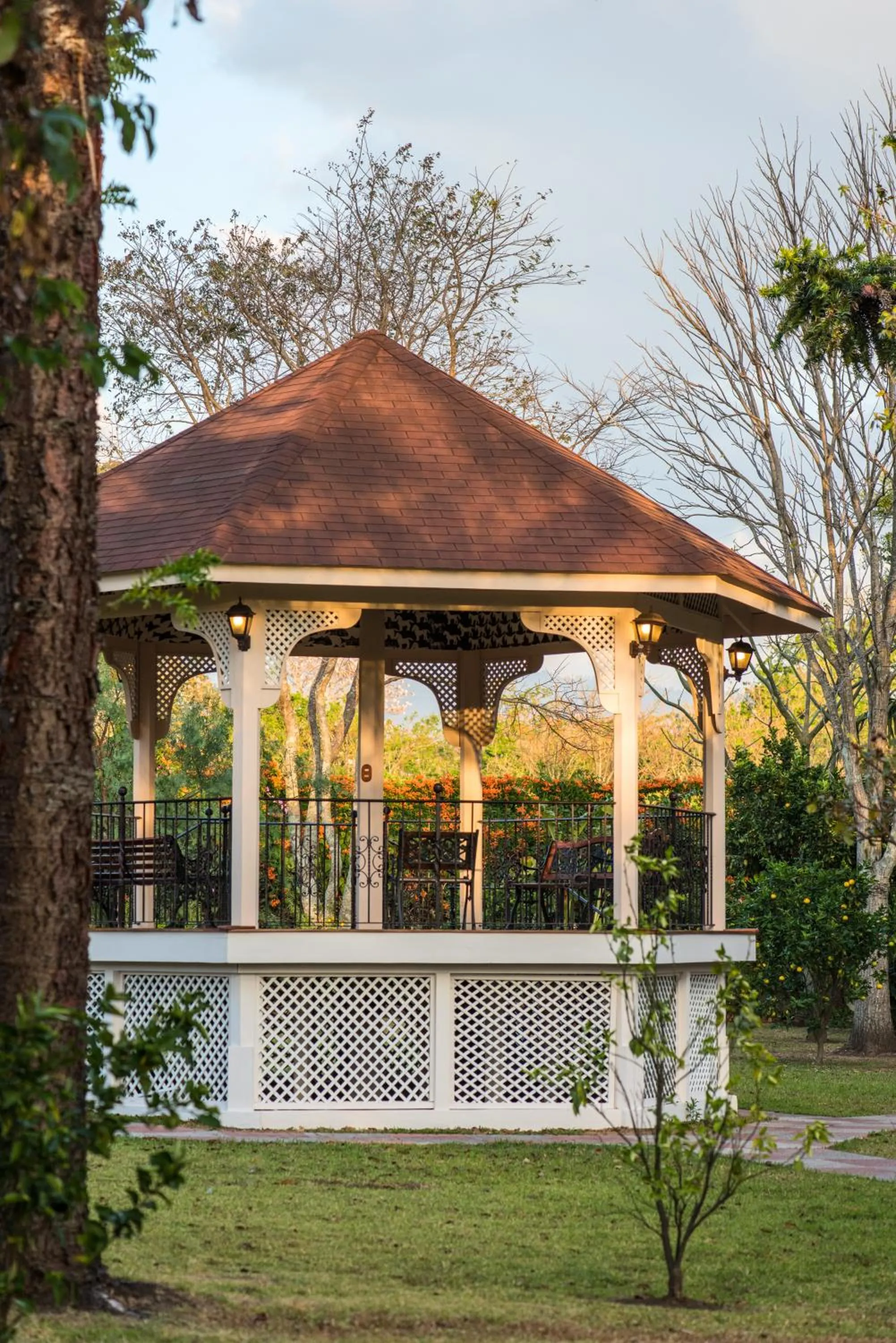Garden in Hotel Bougainvillea San José