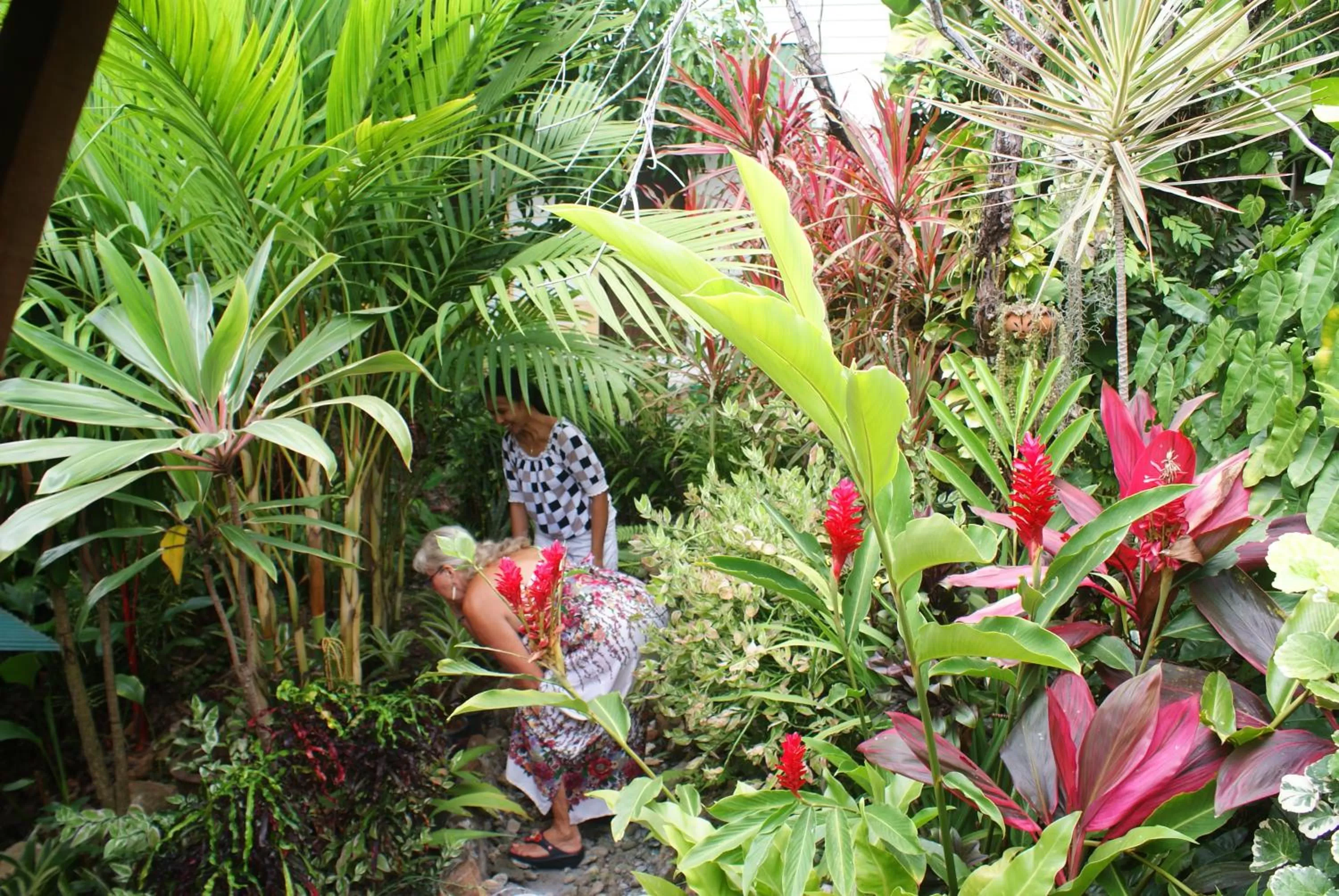 Garden in Rock Inn Bailan