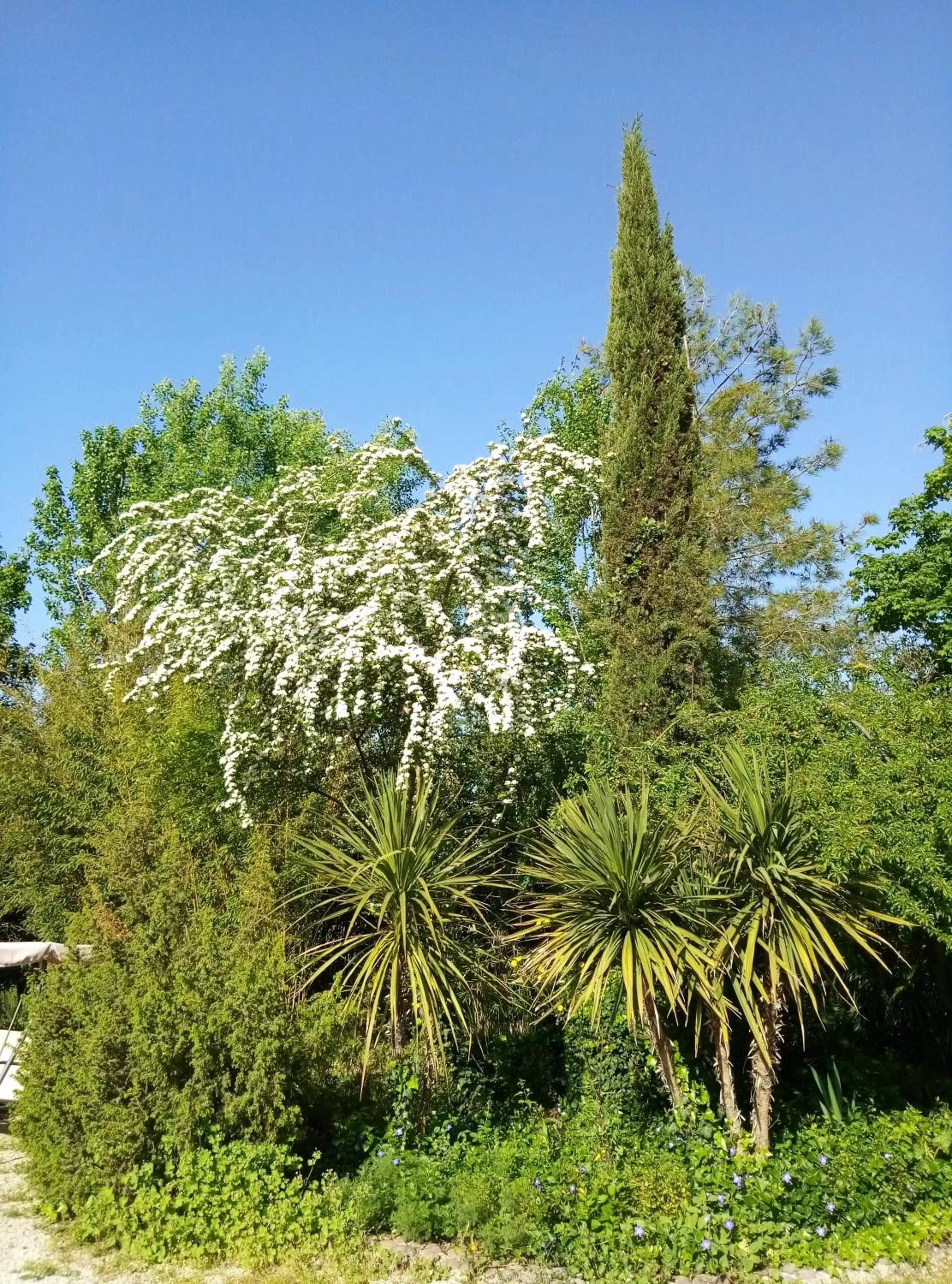 Spring, Garden in La Casa di Tara B&B Armonia e Natura
