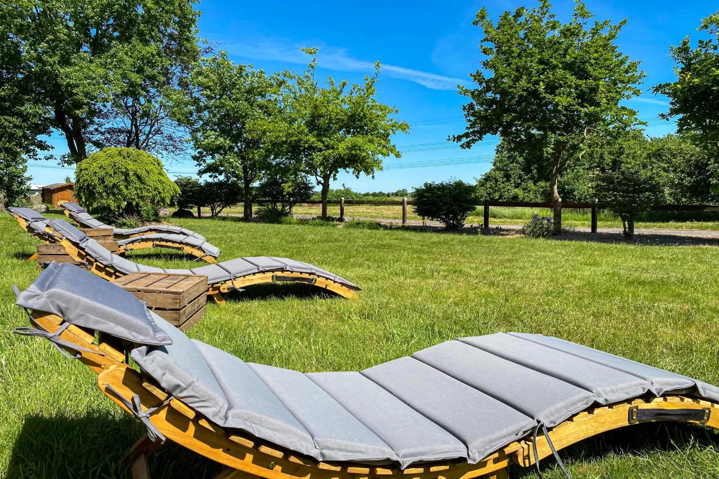 Natural landscape in Hotel-Restaurant Vier Linden