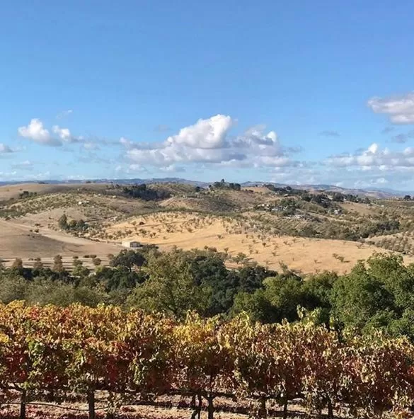 Neighbourhood in The Eden House Vineyard
