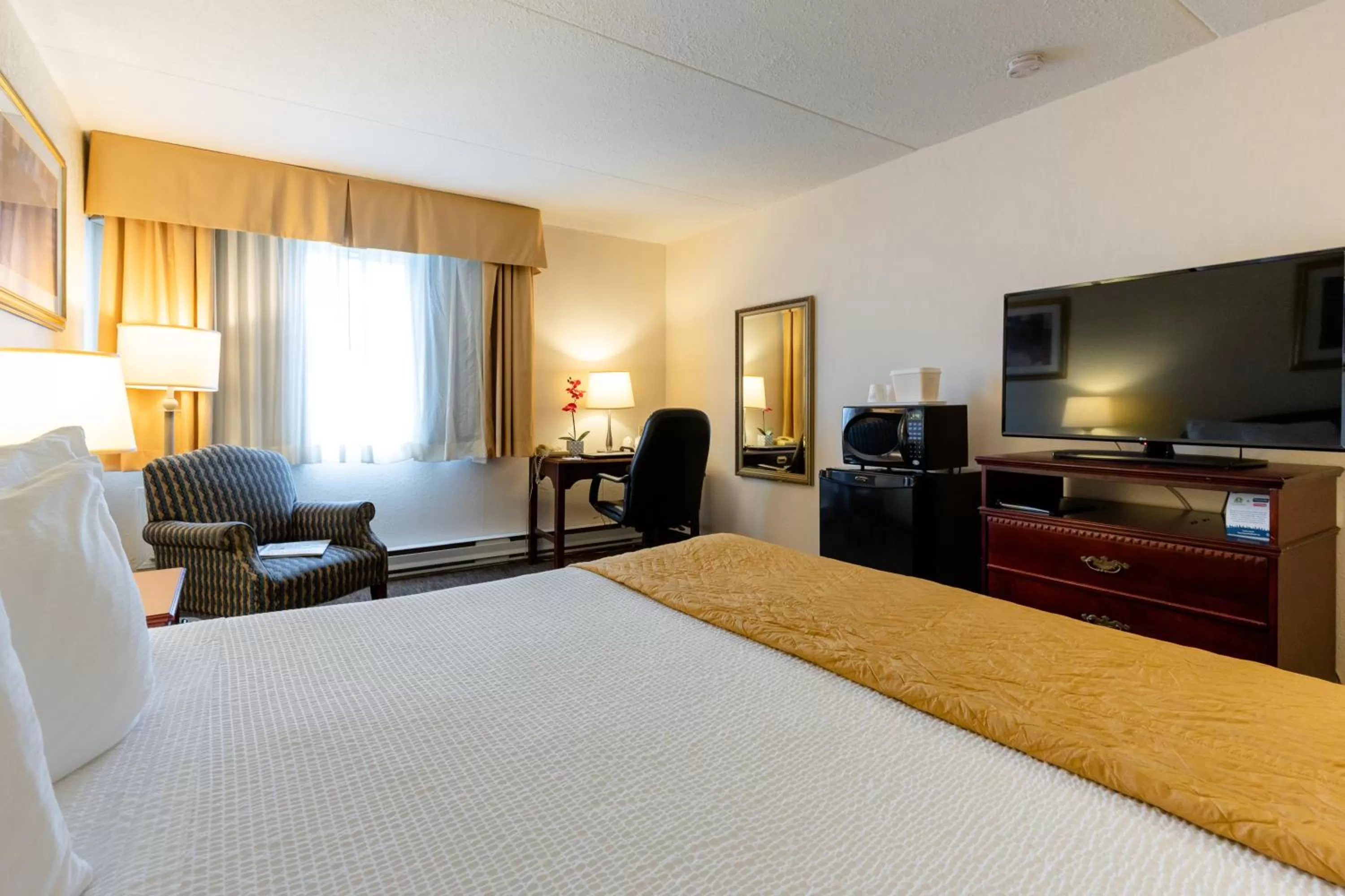 Guests, Bed in Travelodge by Wyndham Ottawa East