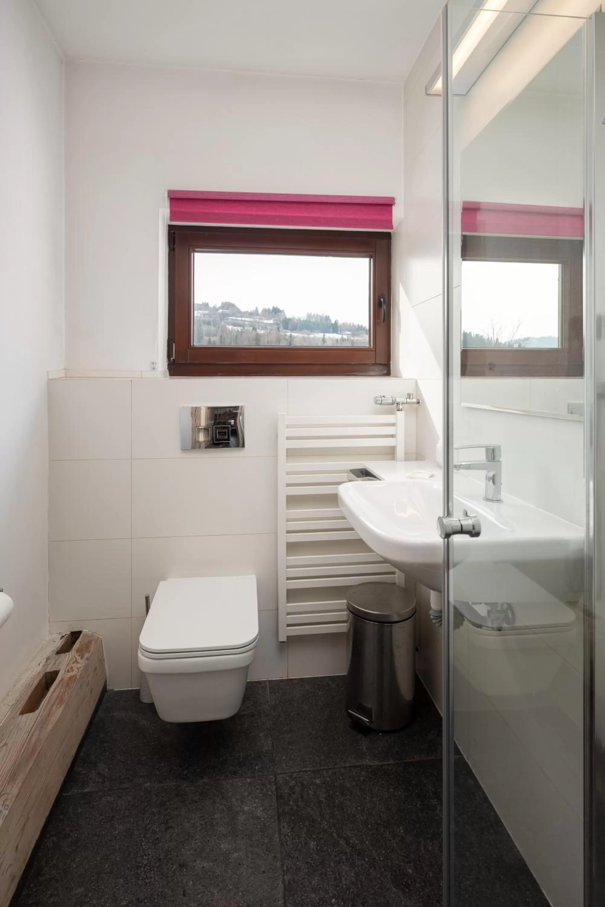 Toilet in Hotel Beskid