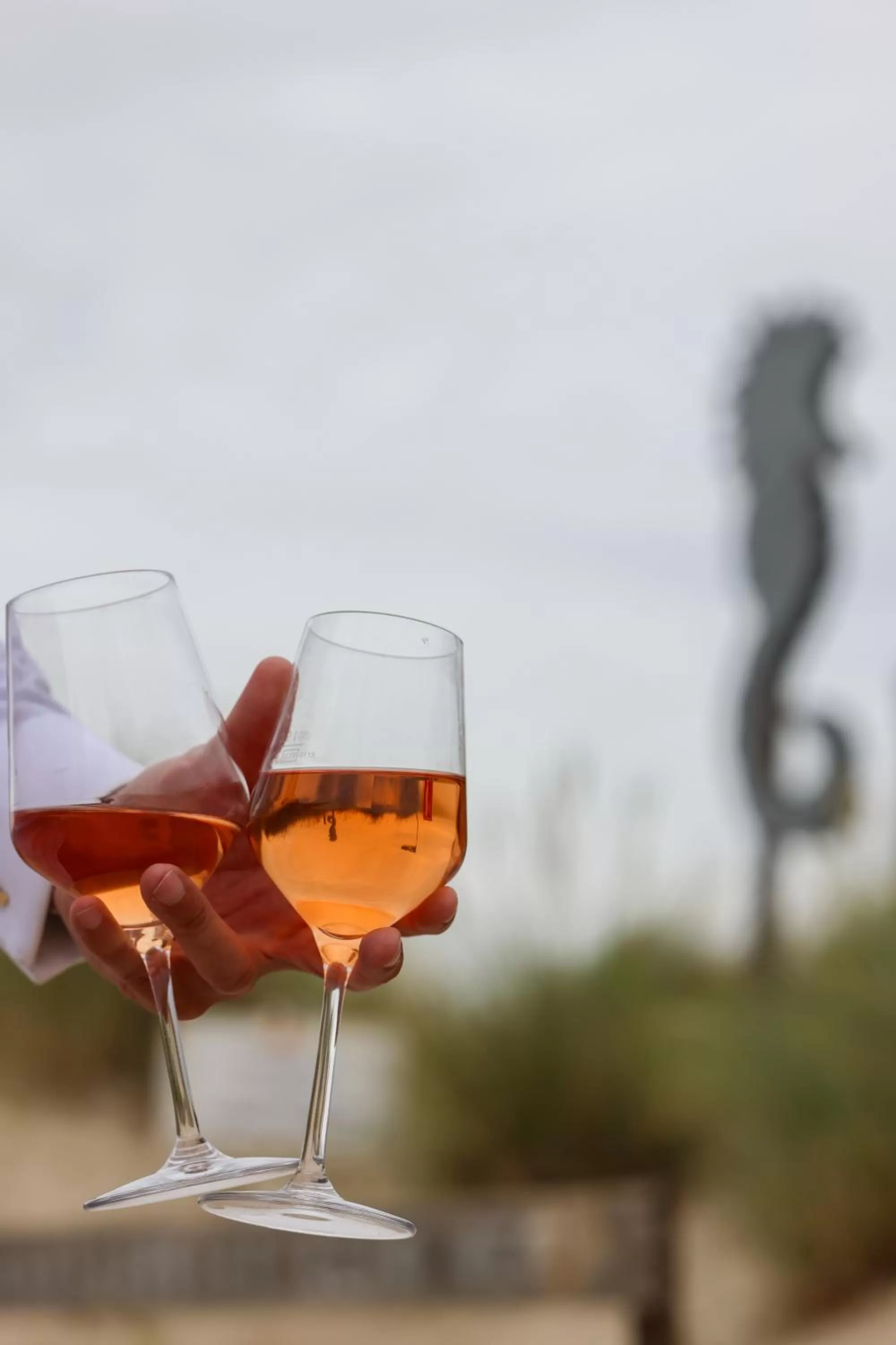 Food and drinks in Mimosa Hotel