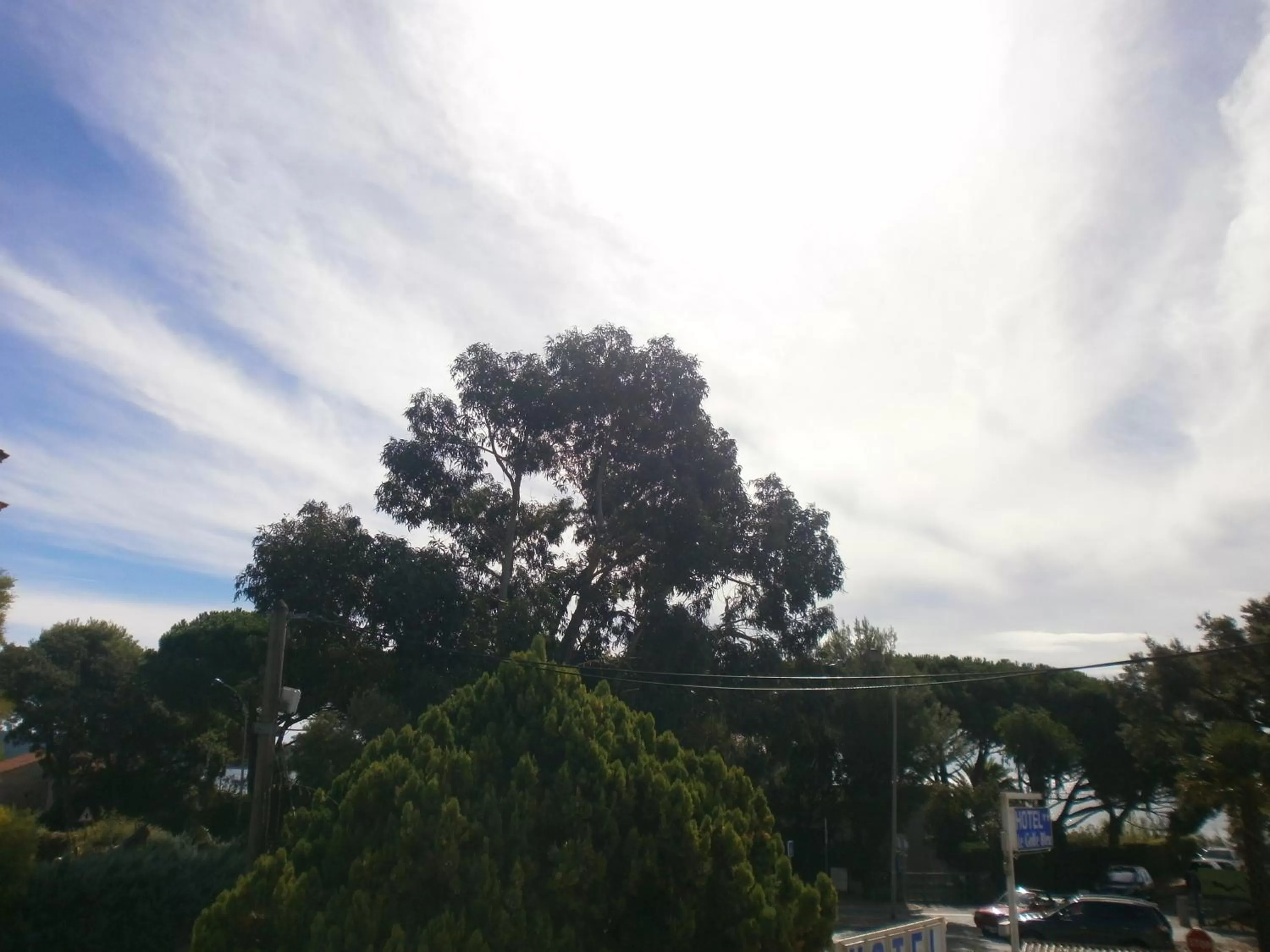 Area and facilities in Hotel Le Golfe Bleu