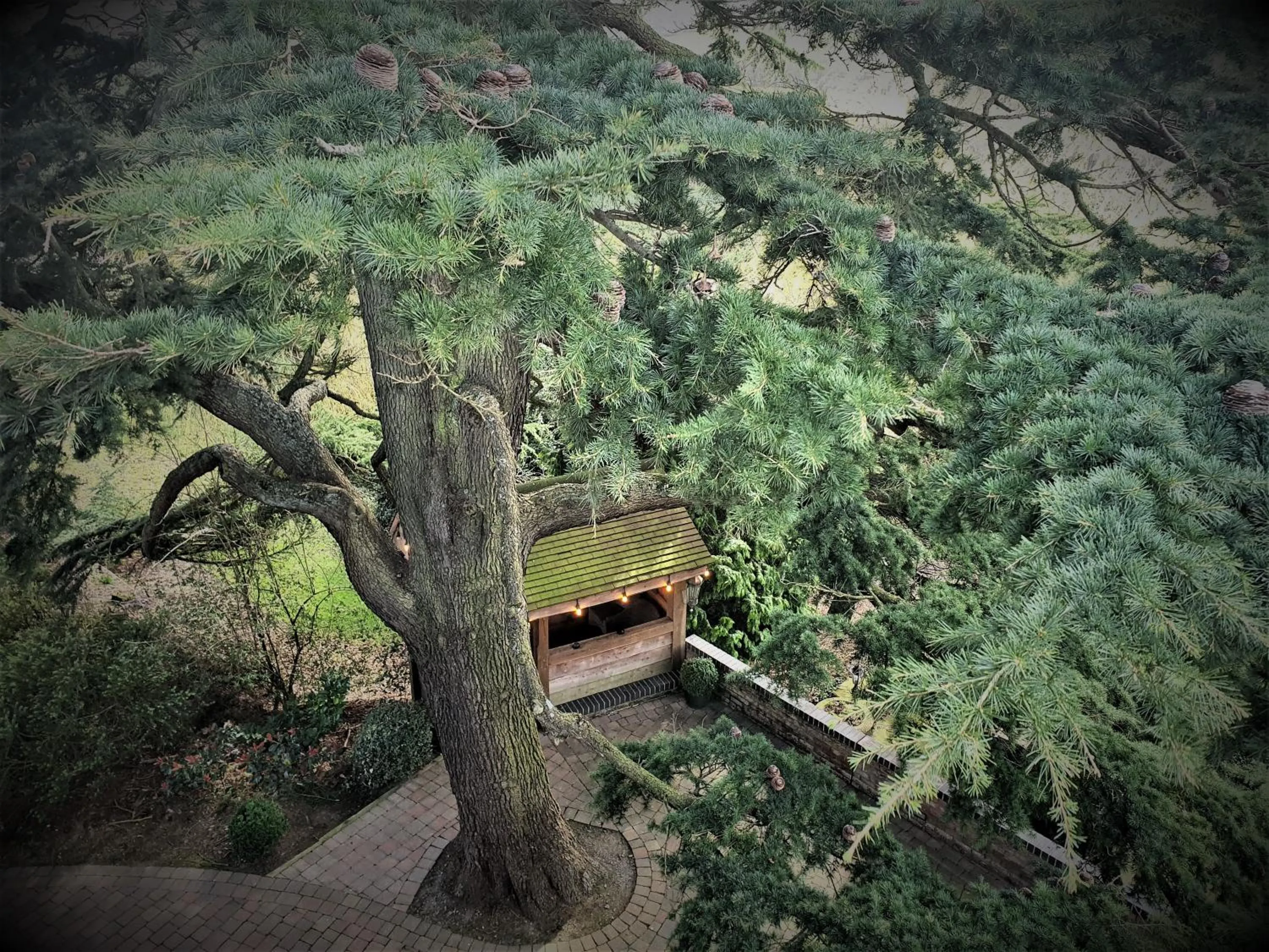 Natural landscape in Nuthurst Grange Country House Hotel & Restaurant