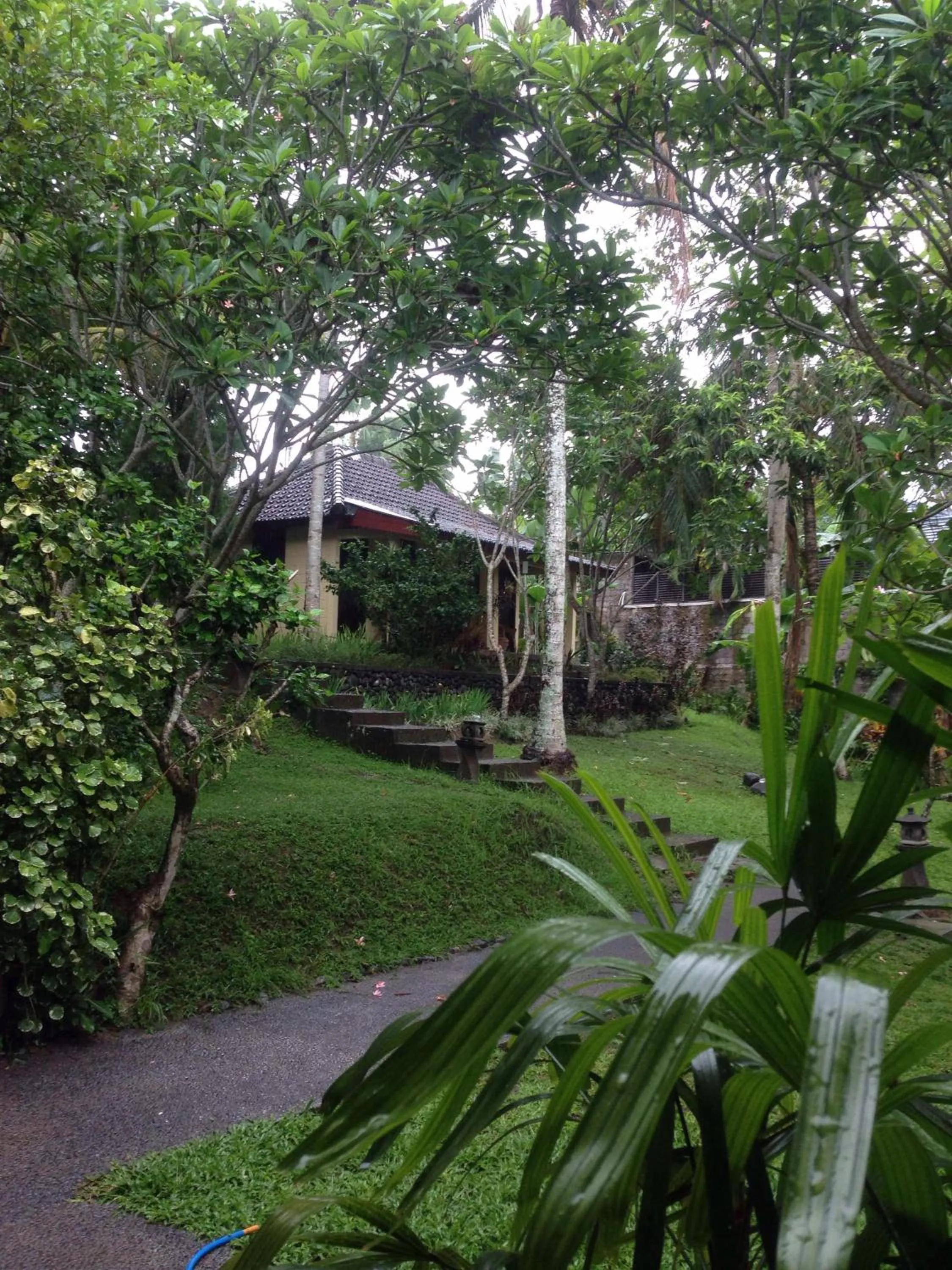 Garden in Argasoka Bungalows