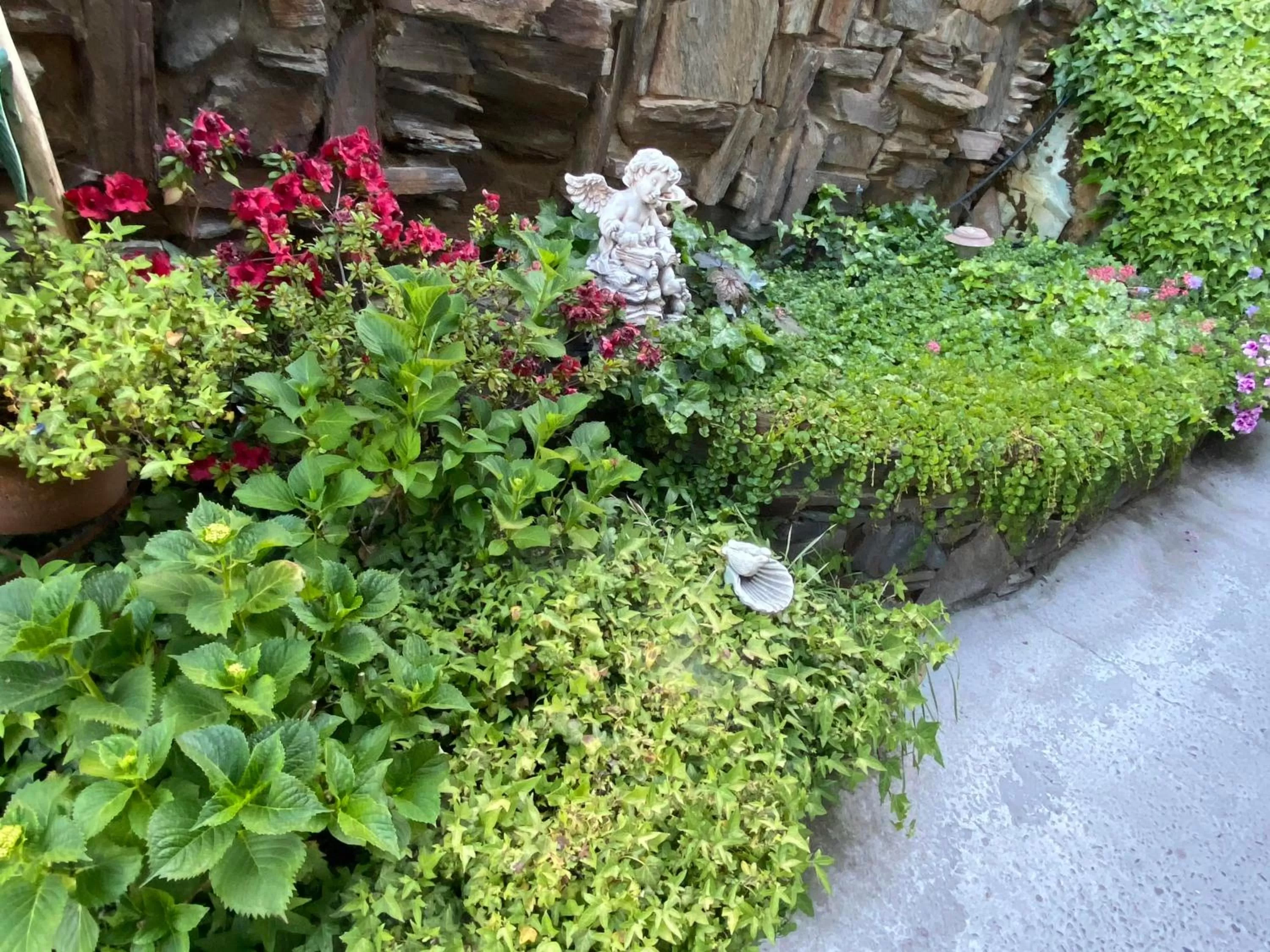 Garden in Gunn House Hotel