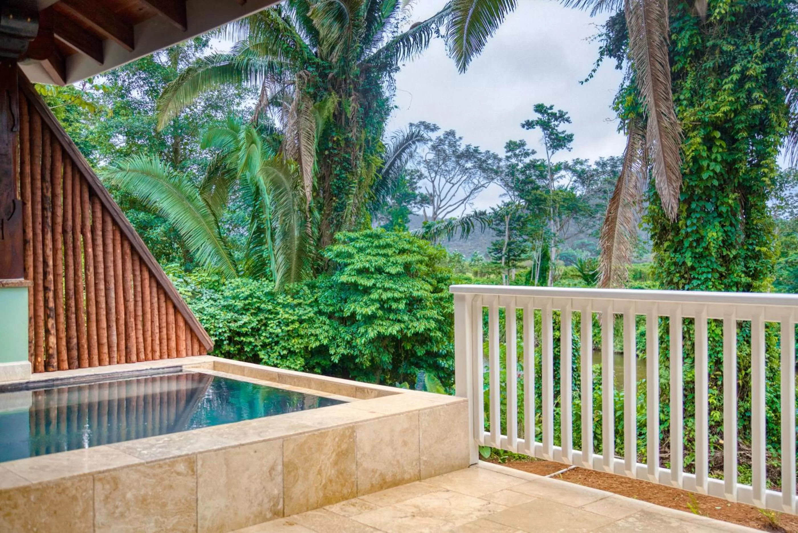 Pool view in Sleeping Giant Rainforest Lodge