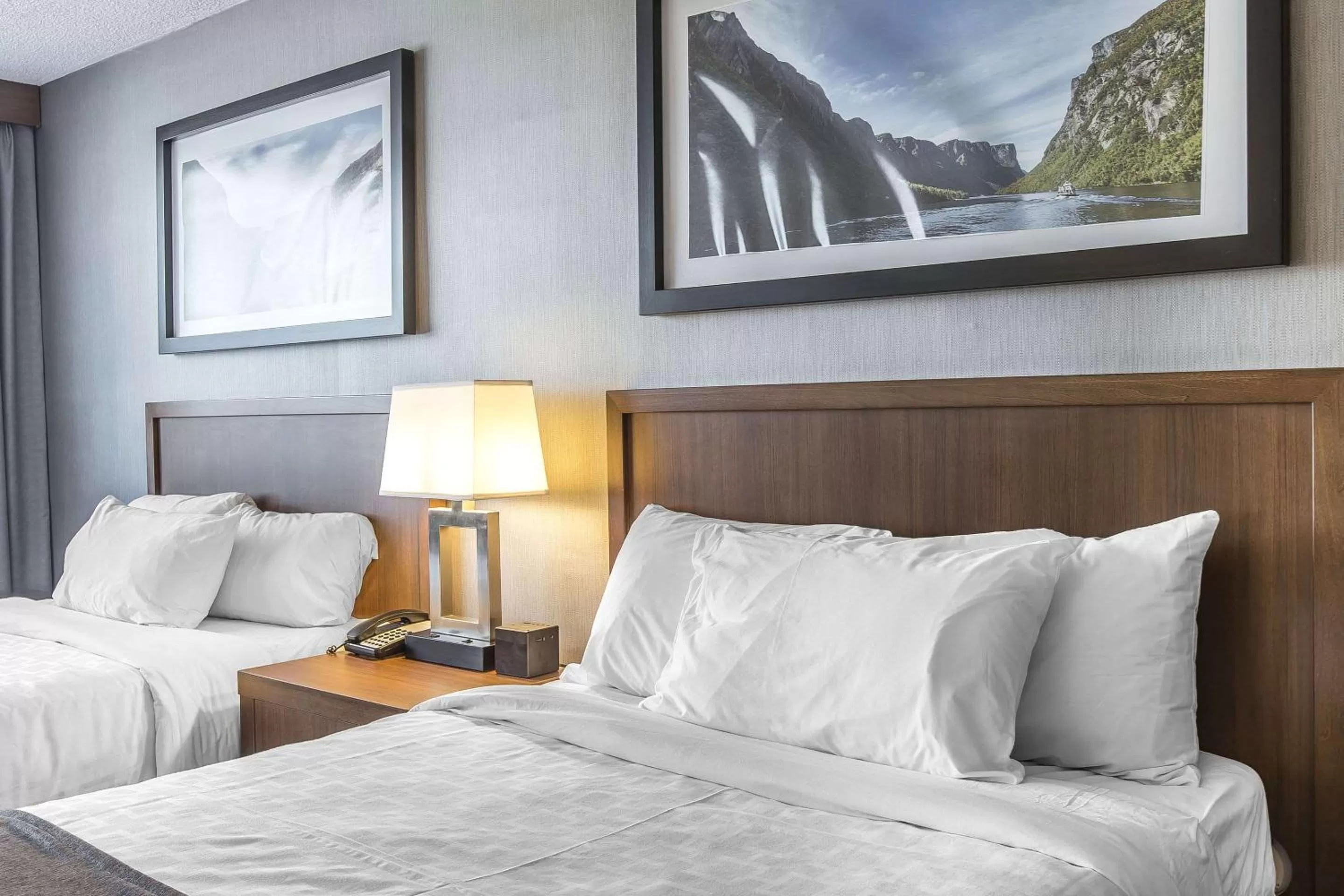 Photo of the whole room, Bed in Quality Inn