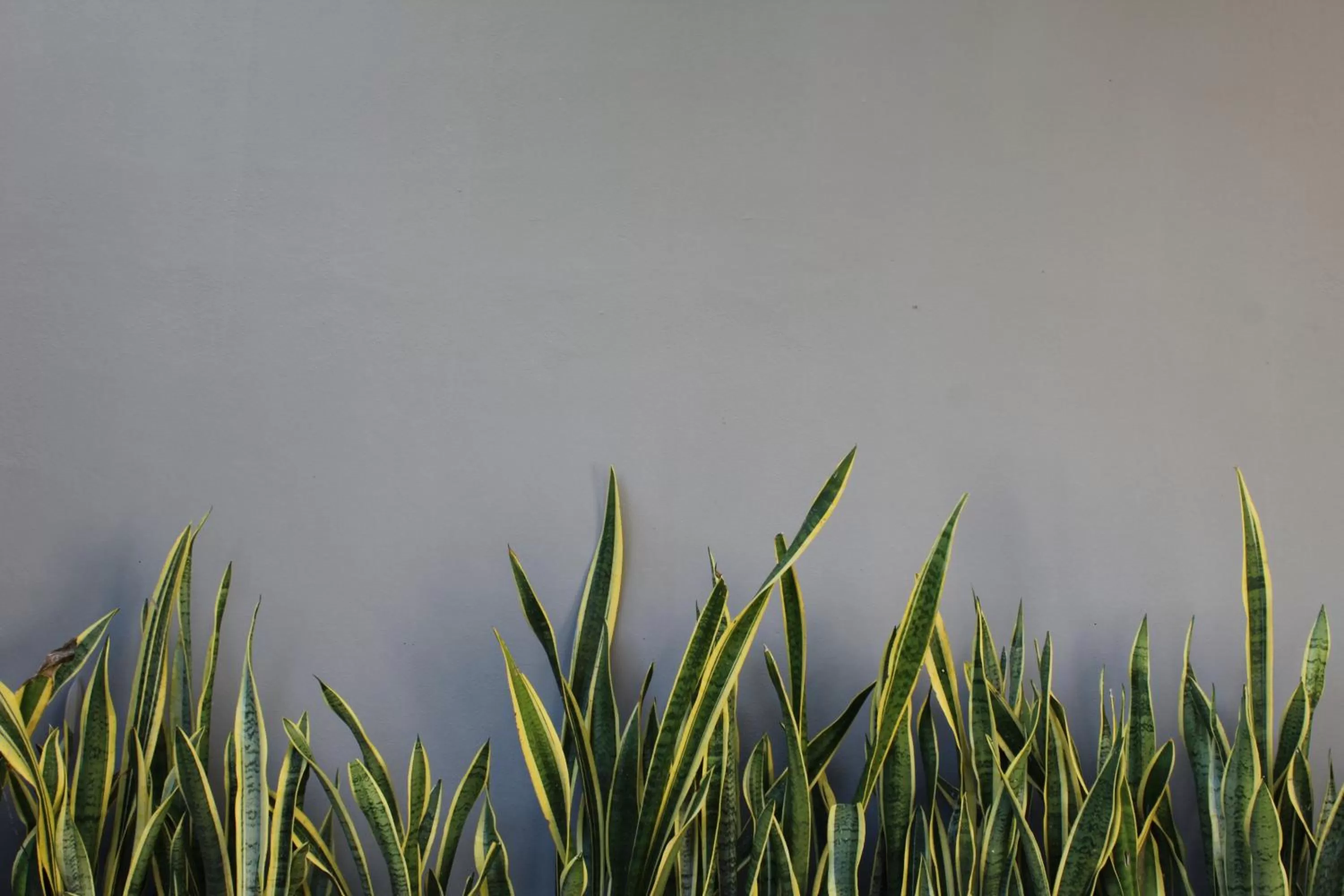 Natural landscape in Villas H2O