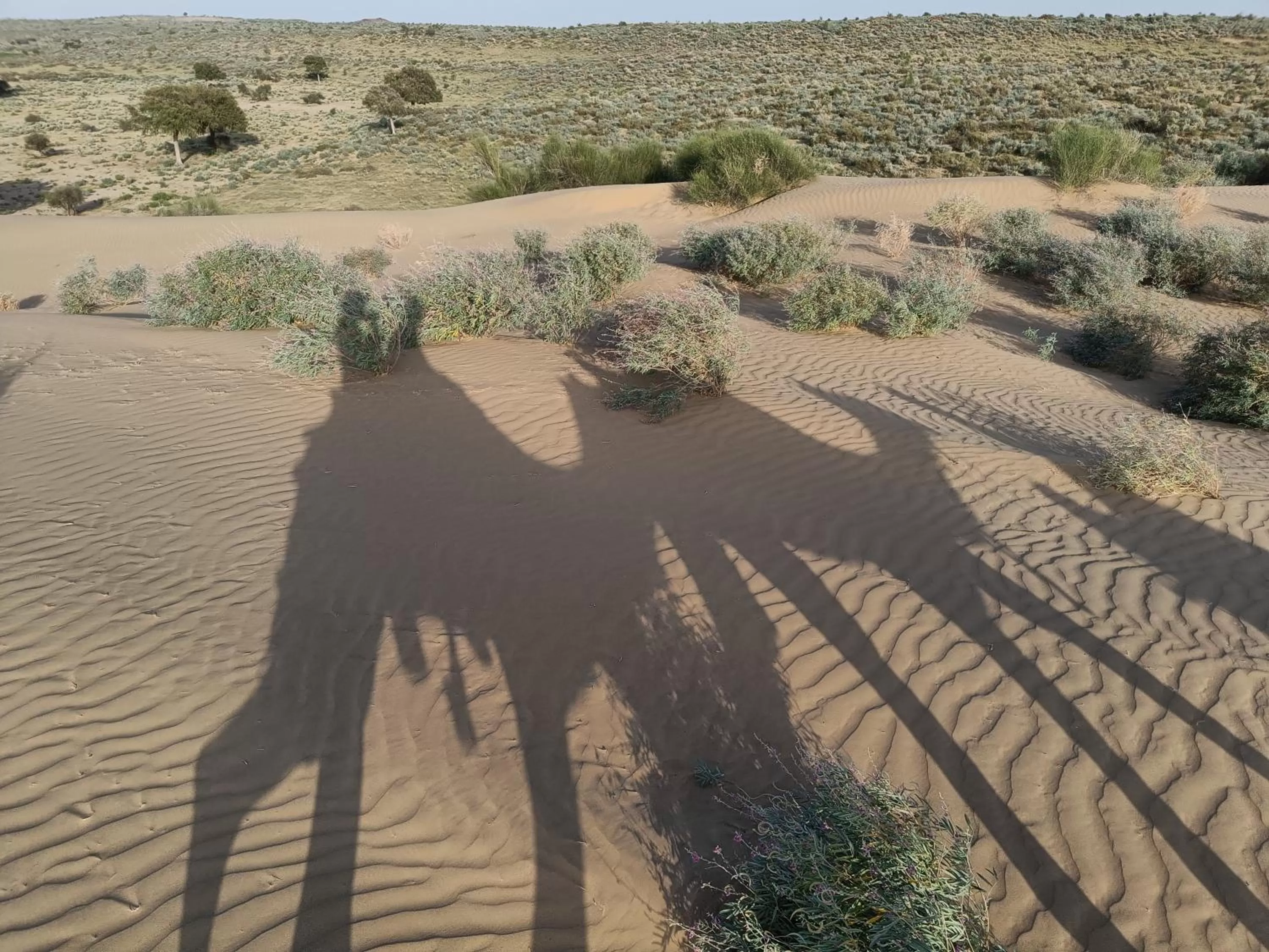 Activities in The Secret House - Adults Only Jaisalmer India