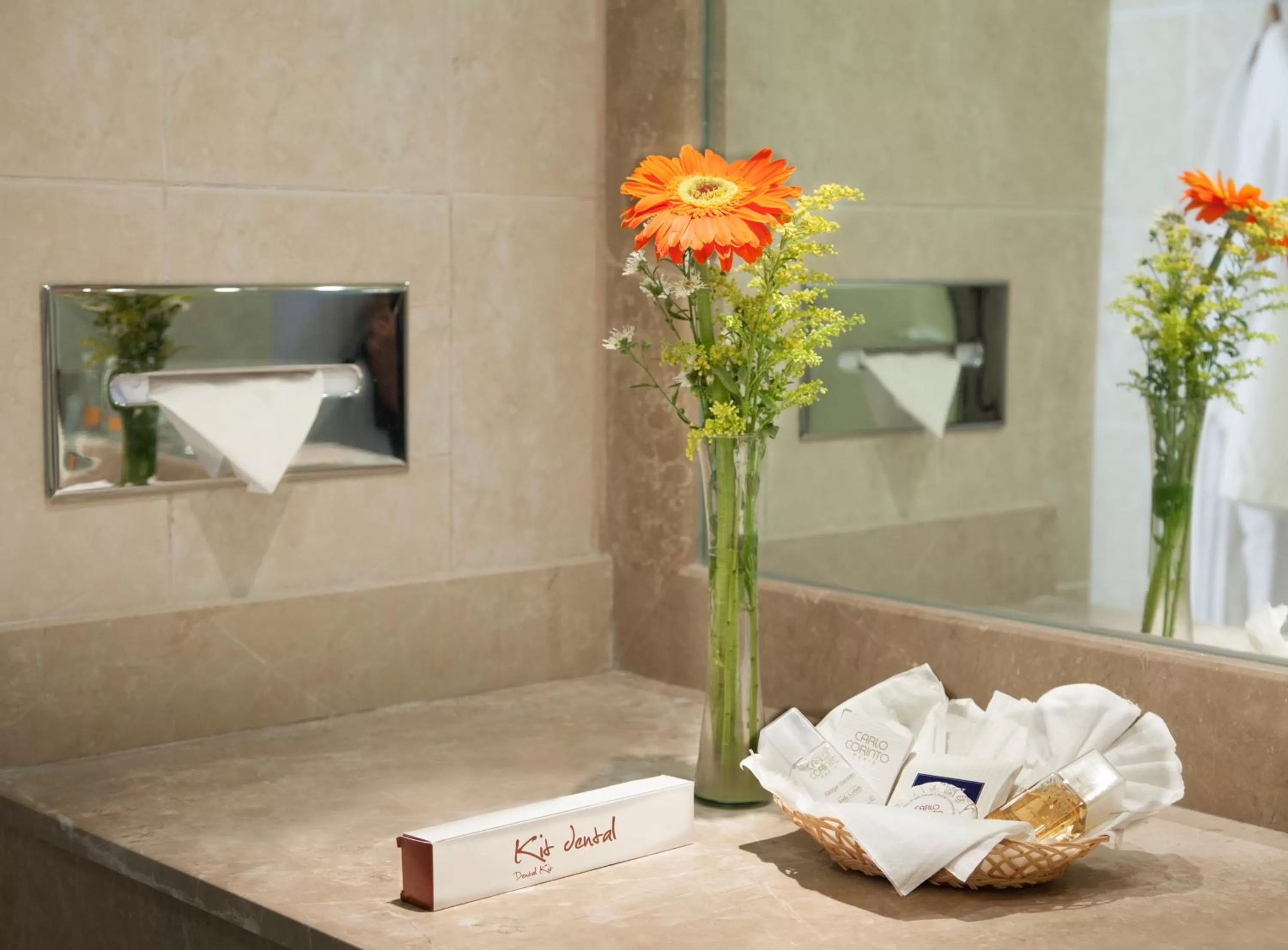 Bathroom in Hotel Viva Villahermosa