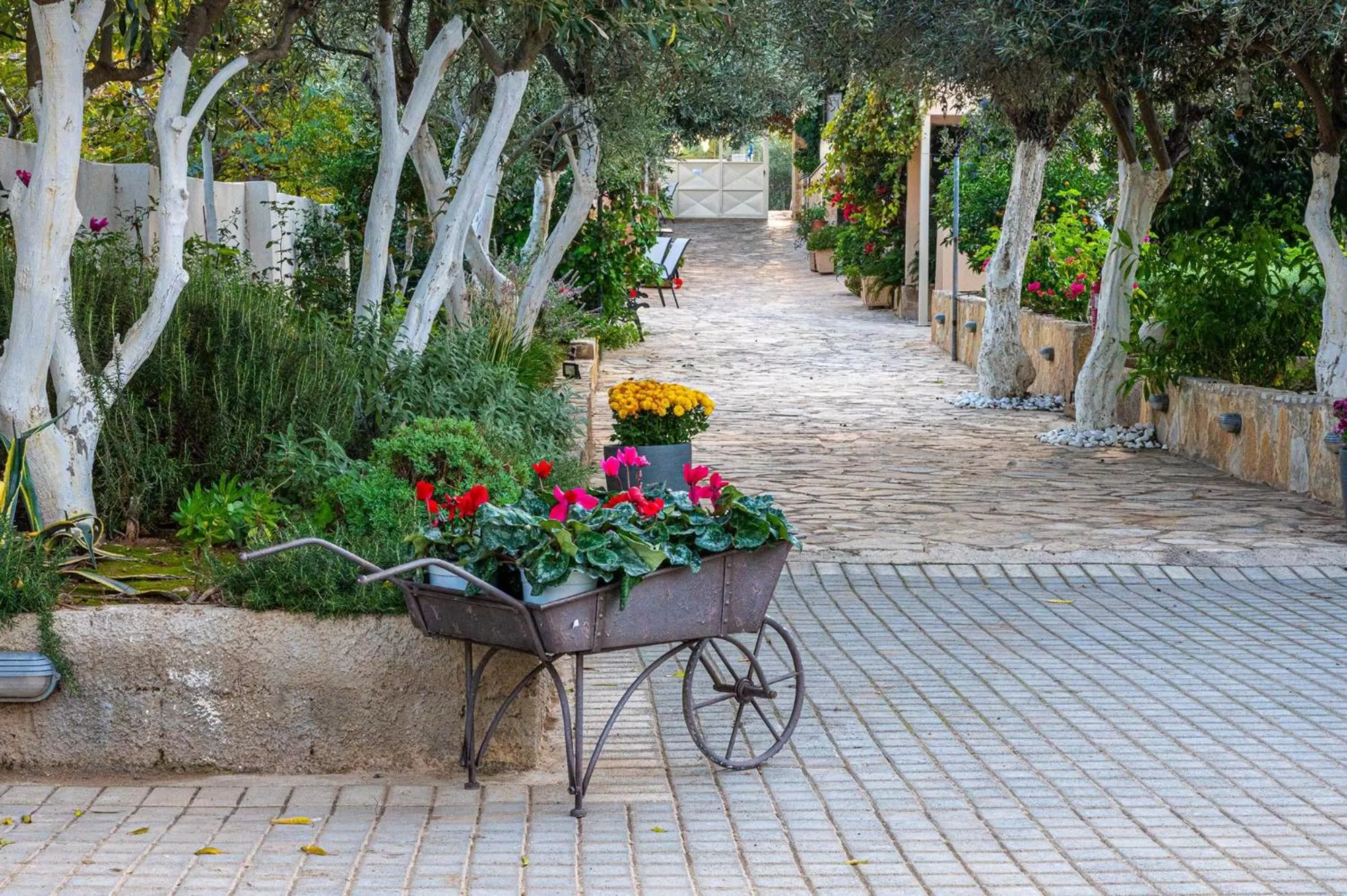 Garden view in Comfort Stay Athens Airport Hotel - FREE shuttle from and to the airport