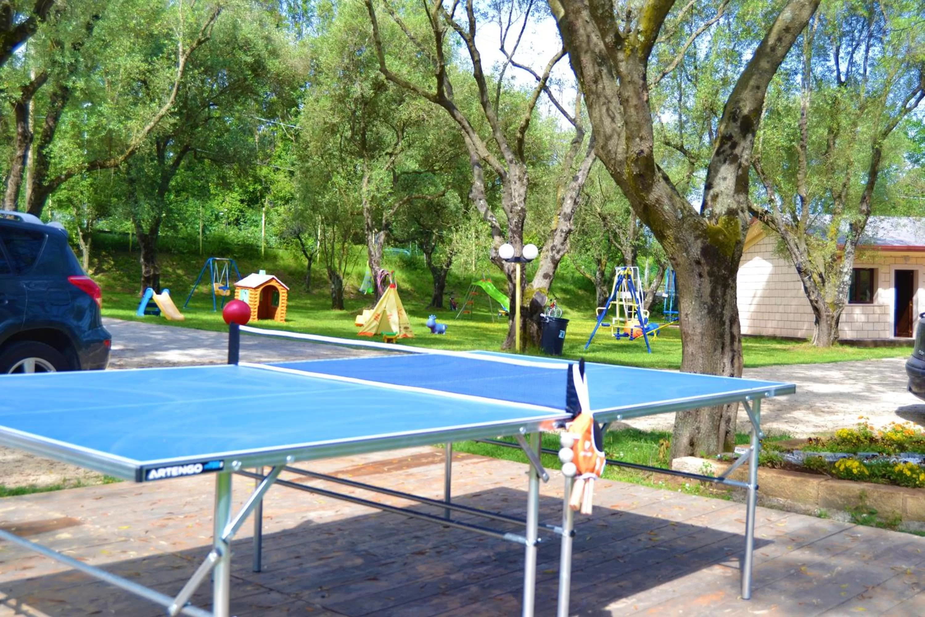 Table tennis in Green Park Hotel & Residence
