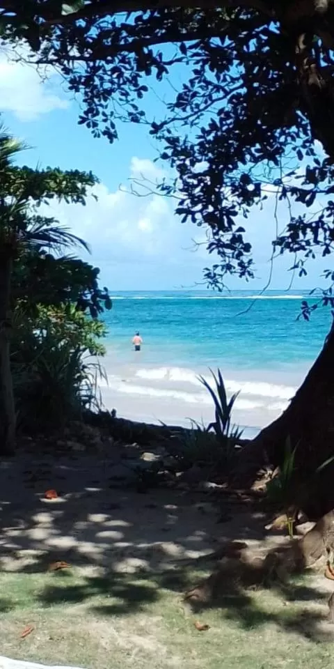 Beach in Port Antonio Brian's Beach House