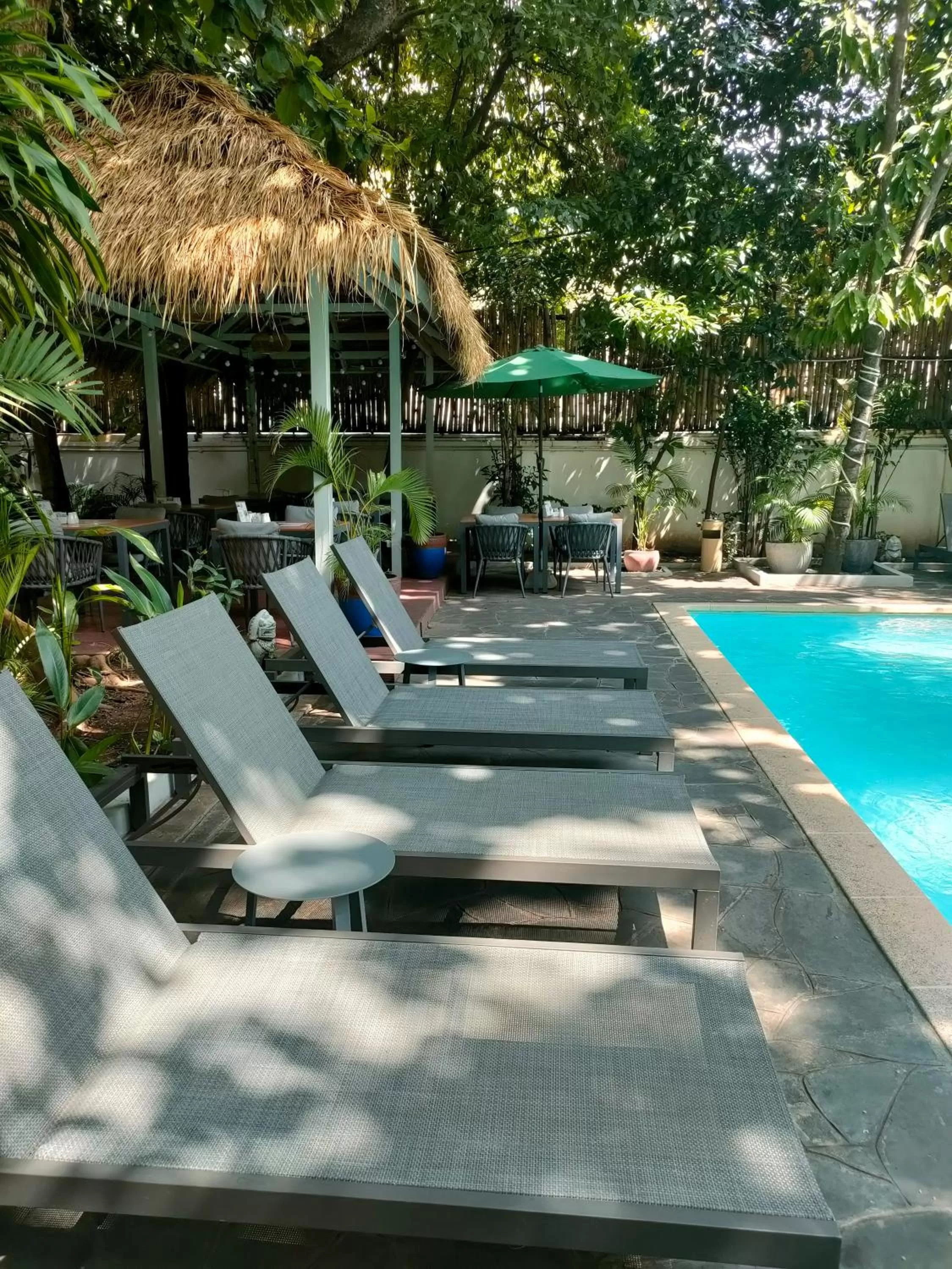 Swimming pool in Jungle Addition