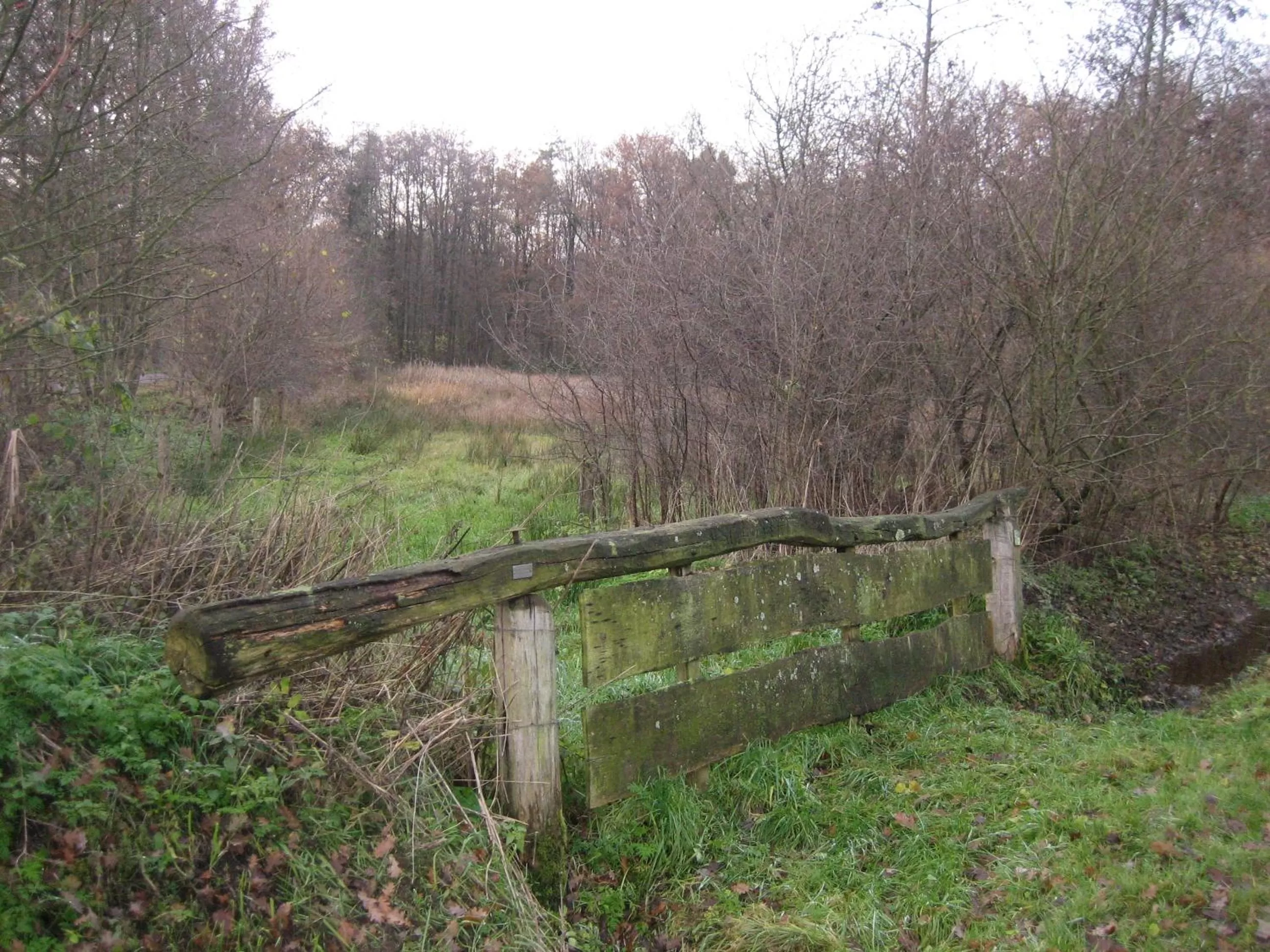 Natural landscape in Hotel Het Landhuis