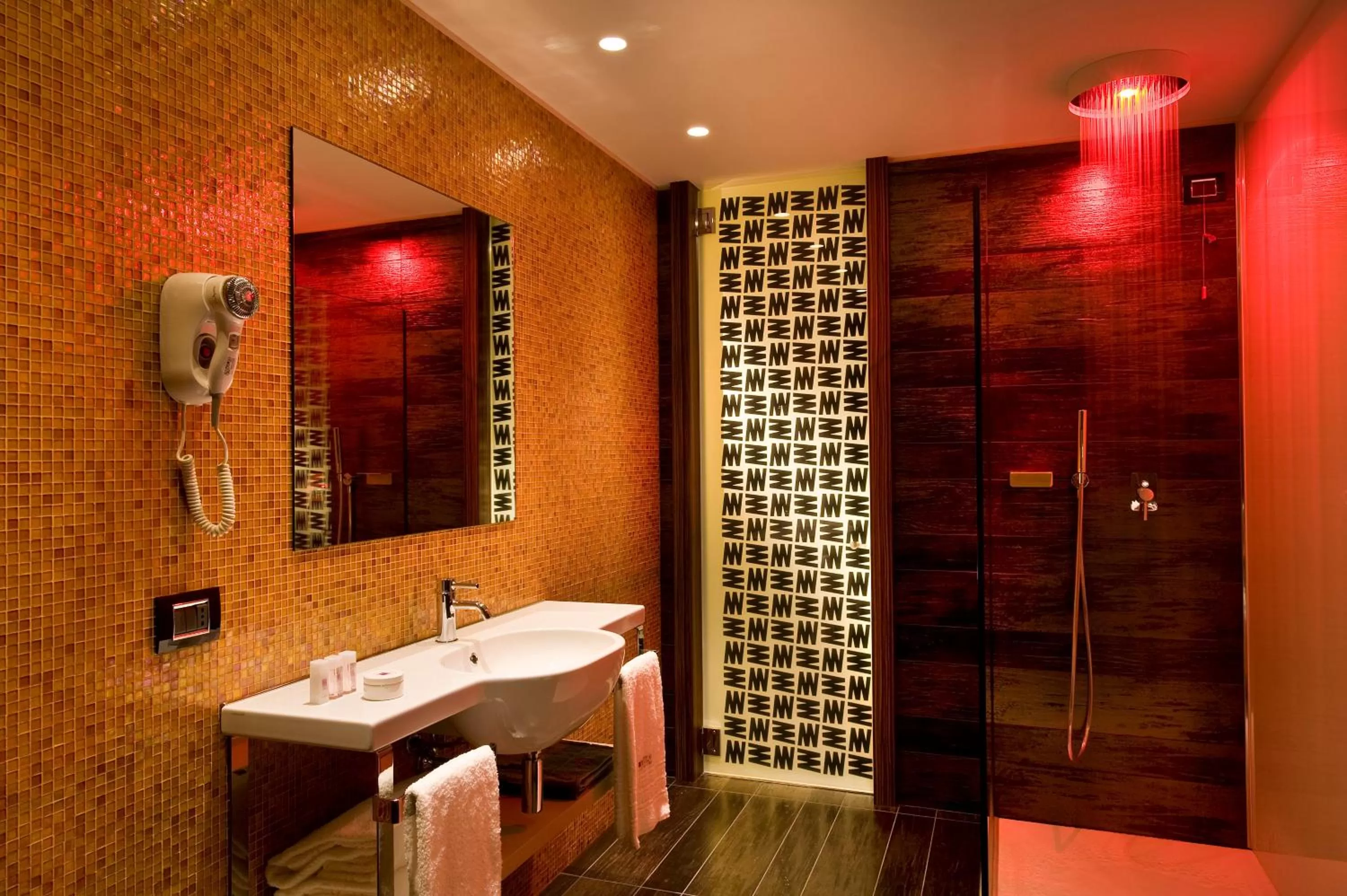 Shower in Viola Mhotel