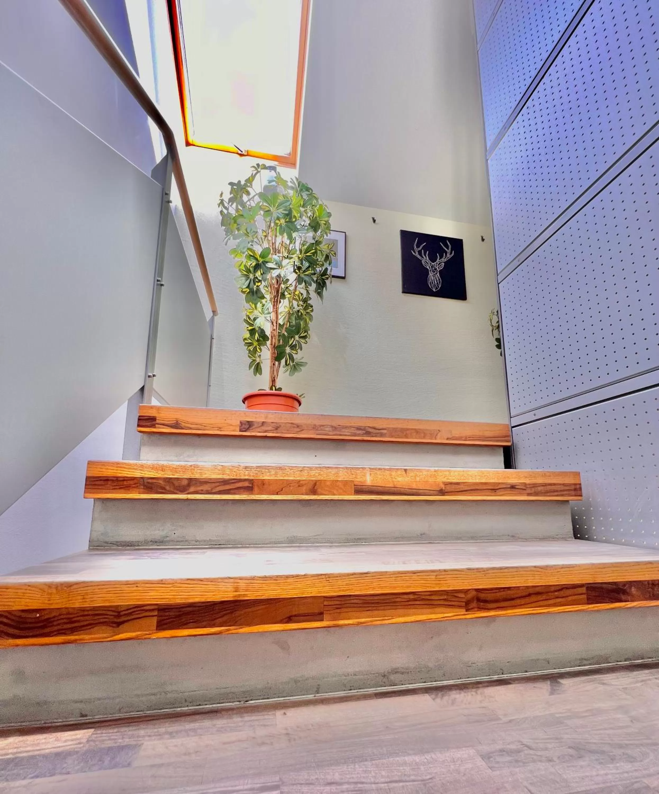 Hotel Hirschen Hinwil