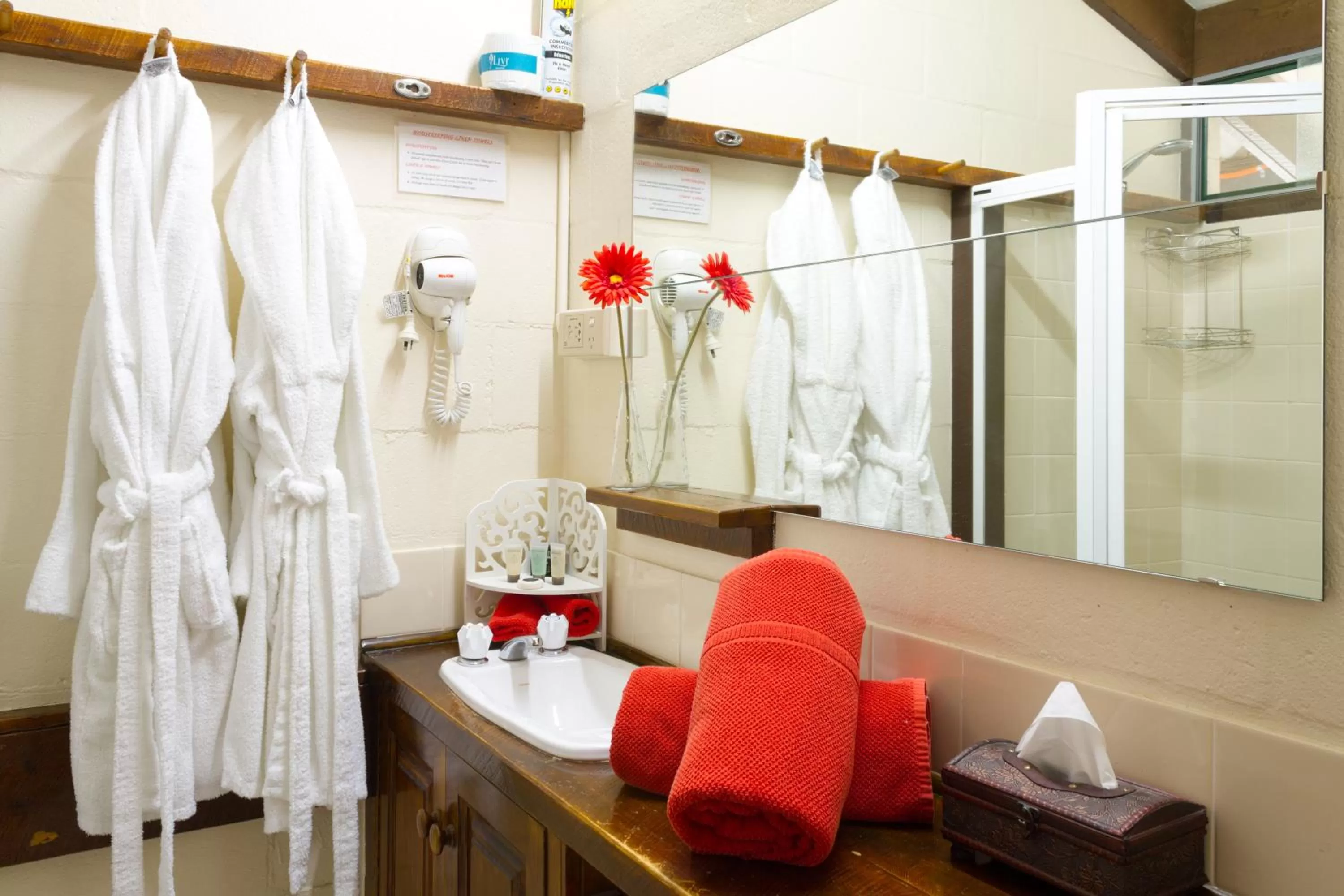 Bathroom in Blackheath Motor Inn